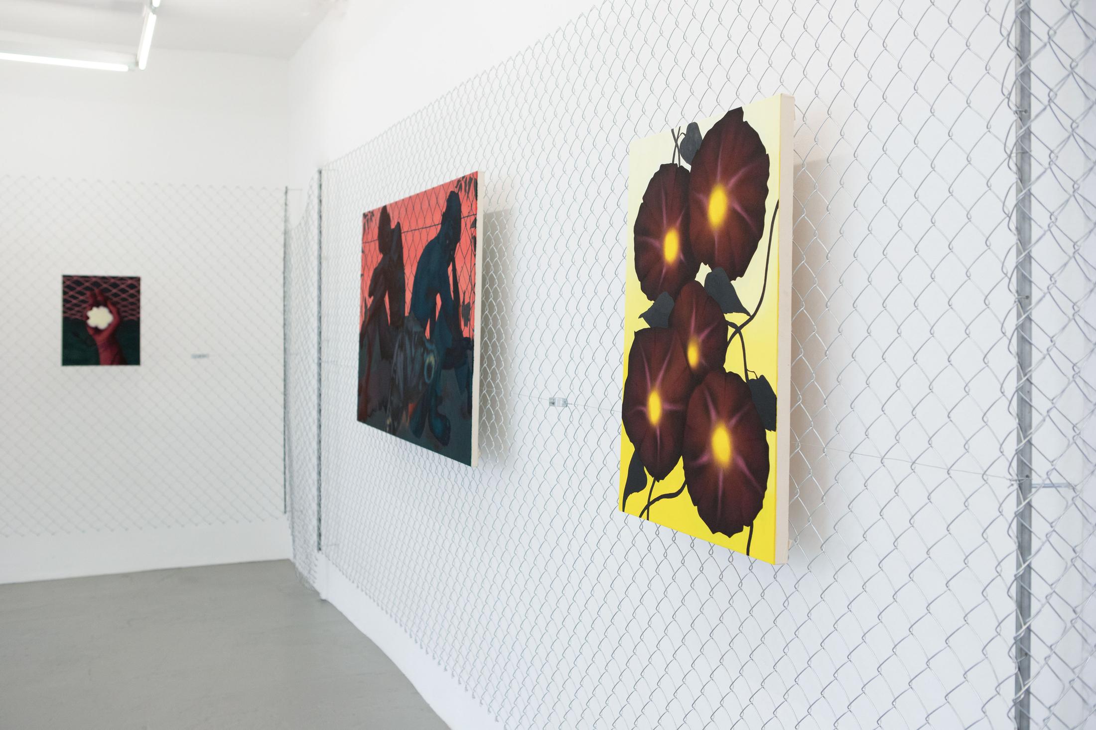 Exhibition View David Weishaar Solo Show «The Rose Is Without 'Why'» at KALI Gallery, Lucerne, 2022 / Photo: Marco Vogel / Courtesy: the artist and KALI Gallery
