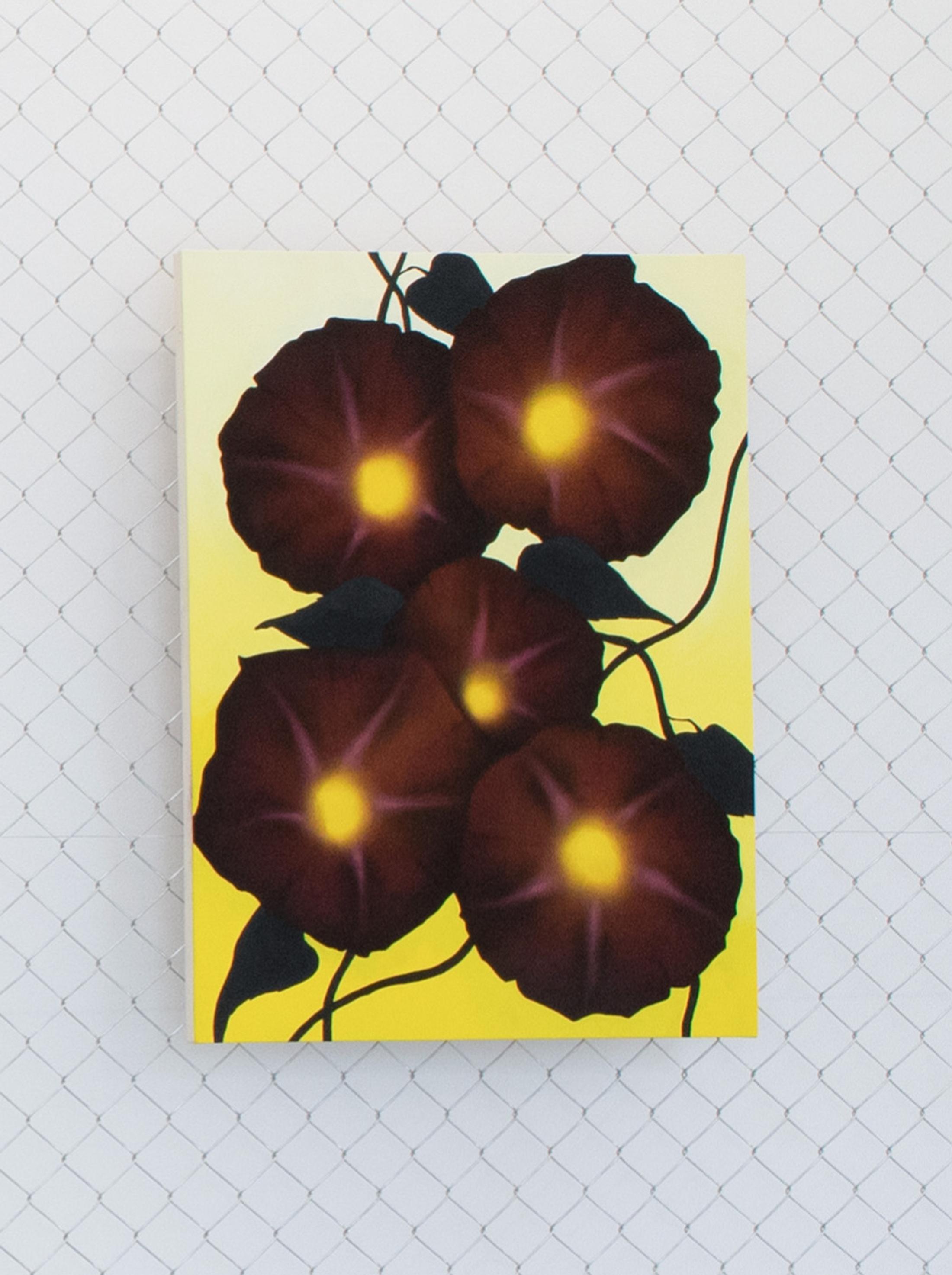 Exhibition View David Weishaar Solo Show «The Rose Is Without 'Why'; view on David Weishaar, Morning Glories, oil and acrylic on canvas, 81,5 x 61,5 cm, 2022» at KALI Gallery, Lucerne, 2022 / Photo: Marco Vogel / Courtesy: the artist and KALI Gallery