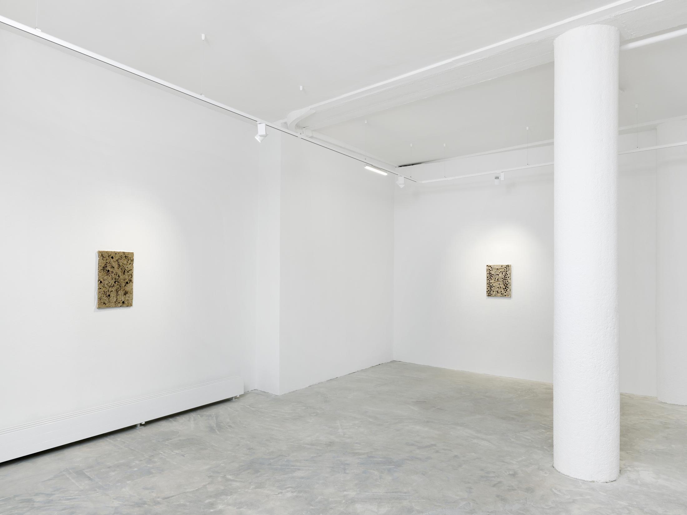 Davina Semo at Ribordy Thetaz, Soloshow «Agora», November 29, 2019 until February 9, 2020 – Contemporary Art Switzerland • Swiss Art Exhibition Archive