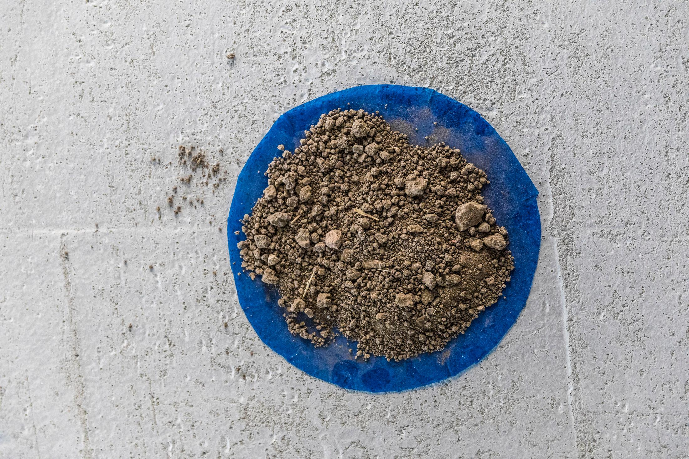 Exhibition View Denise Bertschi and Inas Halabi Groupshow «Forever or in a Hundred Years» at *ALTEFABRIK, Rapperswil-Jona / Photo: Peter Baracchi / Courtesy: the artists