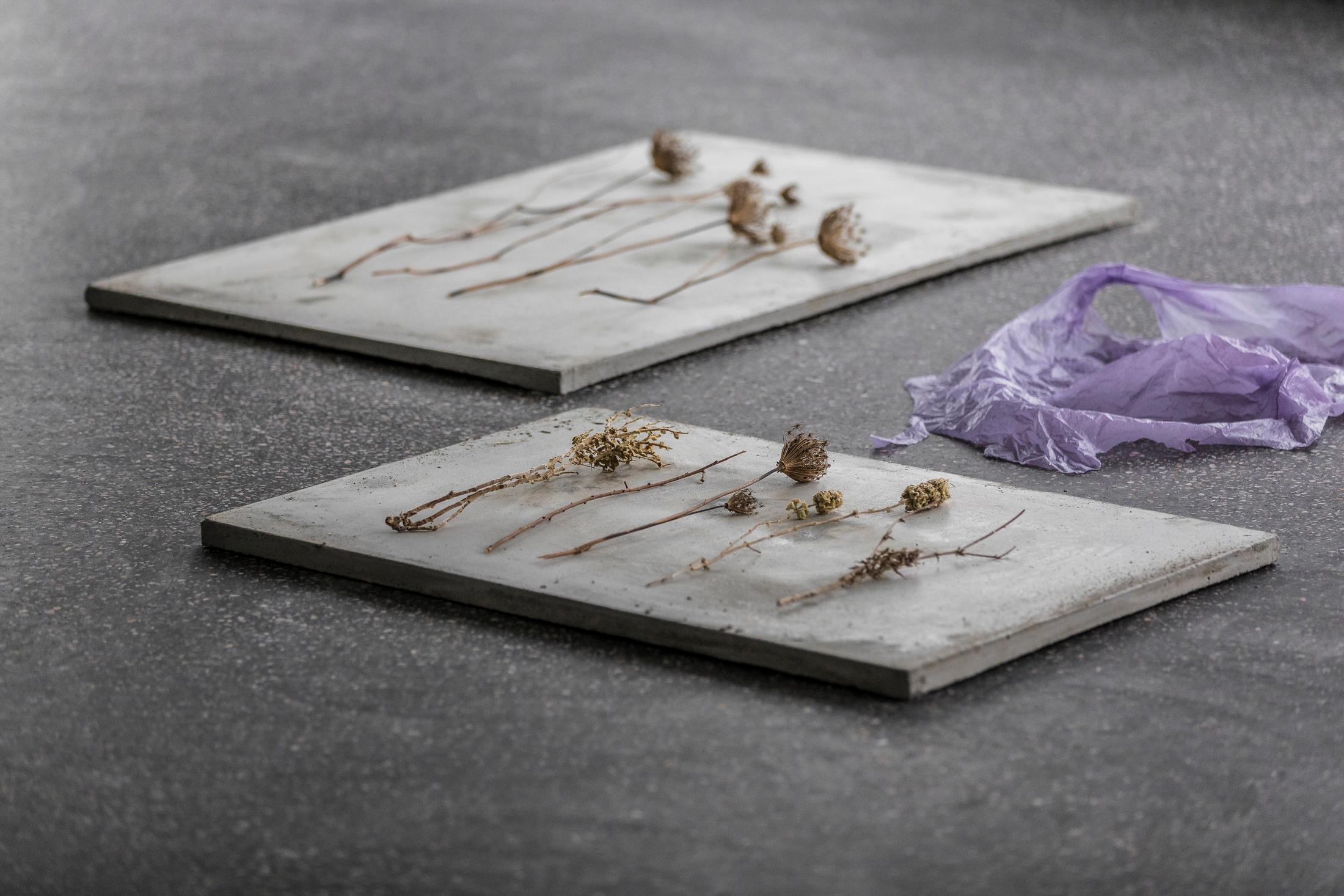 Exhibition View Denise Bertschi and Inas Halabi Groupshow «Forever or in a Hundred Years» at *ALTEFABRIK, Rapperswil-Jona / Photo: Peter Baracchi / Courtesy: the artists