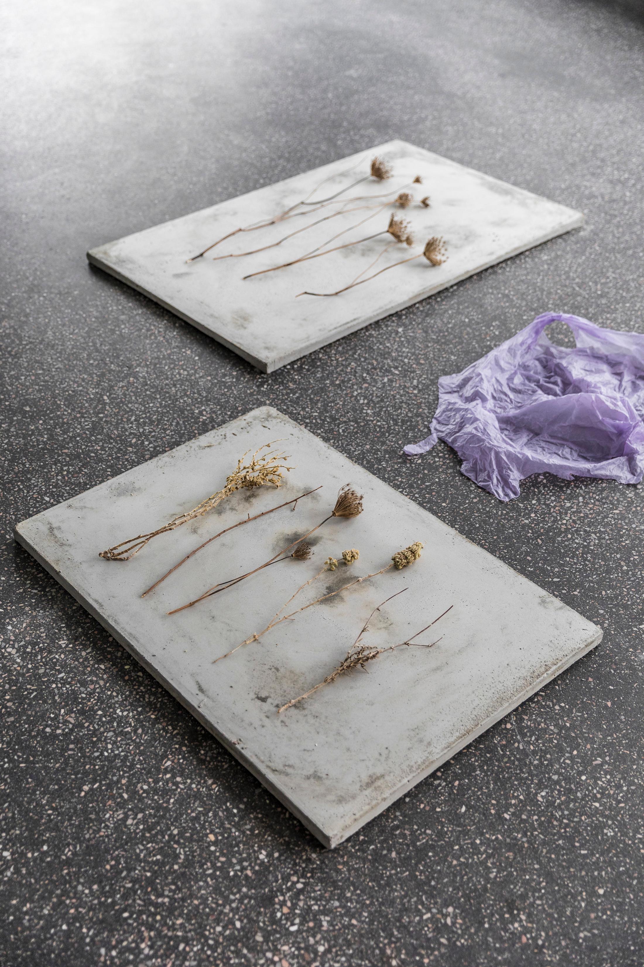 Exhibition View Denise Bertschi and Inas Halabi Groupshow «Forever or in a Hundred Years» at *ALTEFABRIK, Rapperswil-Jona / Photo: Peter Baracchi / Courtesy: the artists