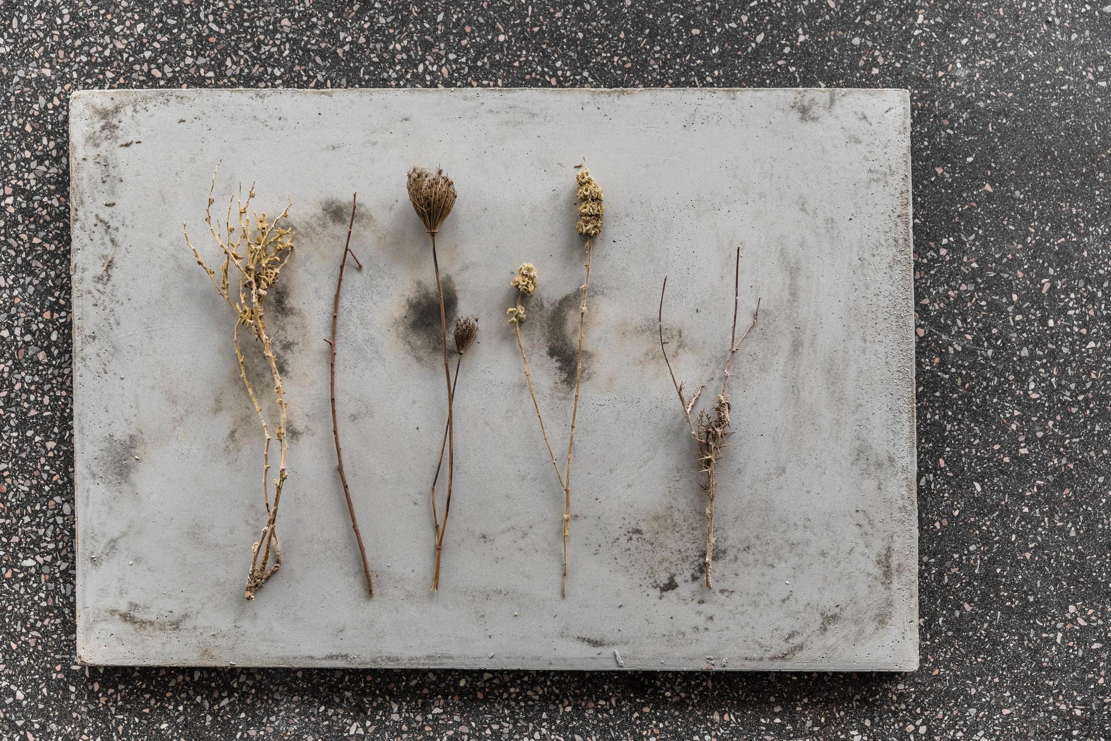 Exhibition View Denise Bertschi and Inas Halabi Groupshow «Forever or in a Hundred Years» at *ALTEFABRIK, Rapperswil-Jona / Photo: Peter Baracchi / Courtesy: the artists