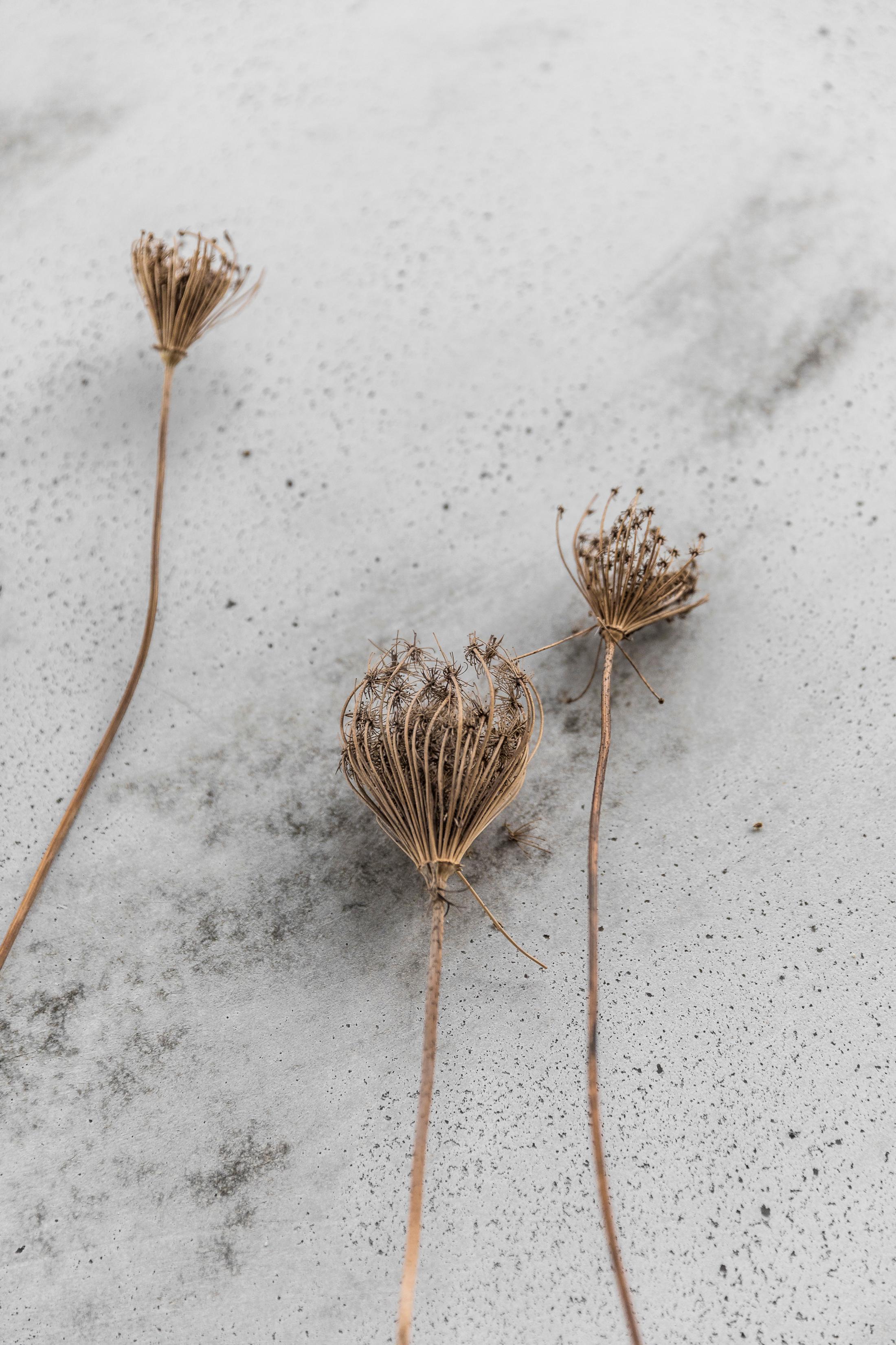 Exhibition View Denise Bertschi and Inas Halabi Groupshow «Forever or in a Hundred Years» at *ALTEFABRIK, Rapperswil-Jona / Photo: Peter Baracchi / Courtesy: the artists