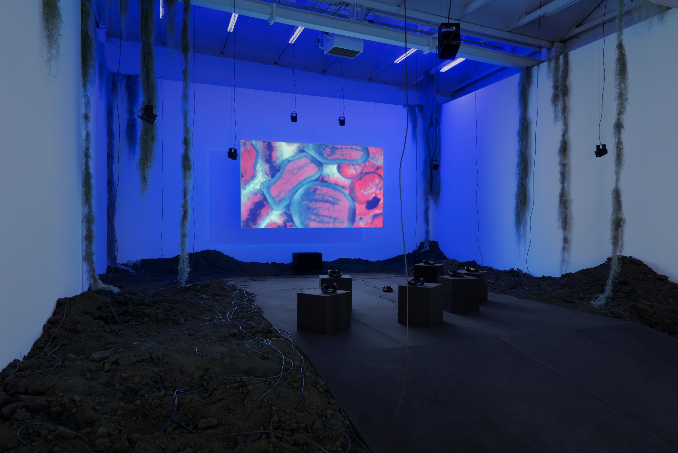 © 2017, CAN Centre d'art Neuchâtel. Photo: Julien Félix / Courtesy: the artist