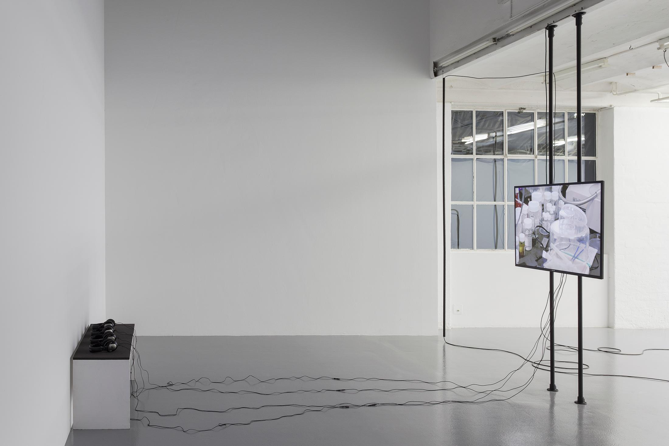 © 2017, CAN Centre d'art Neuchâtel. Photo: A. Satus / Courtesy: the artist