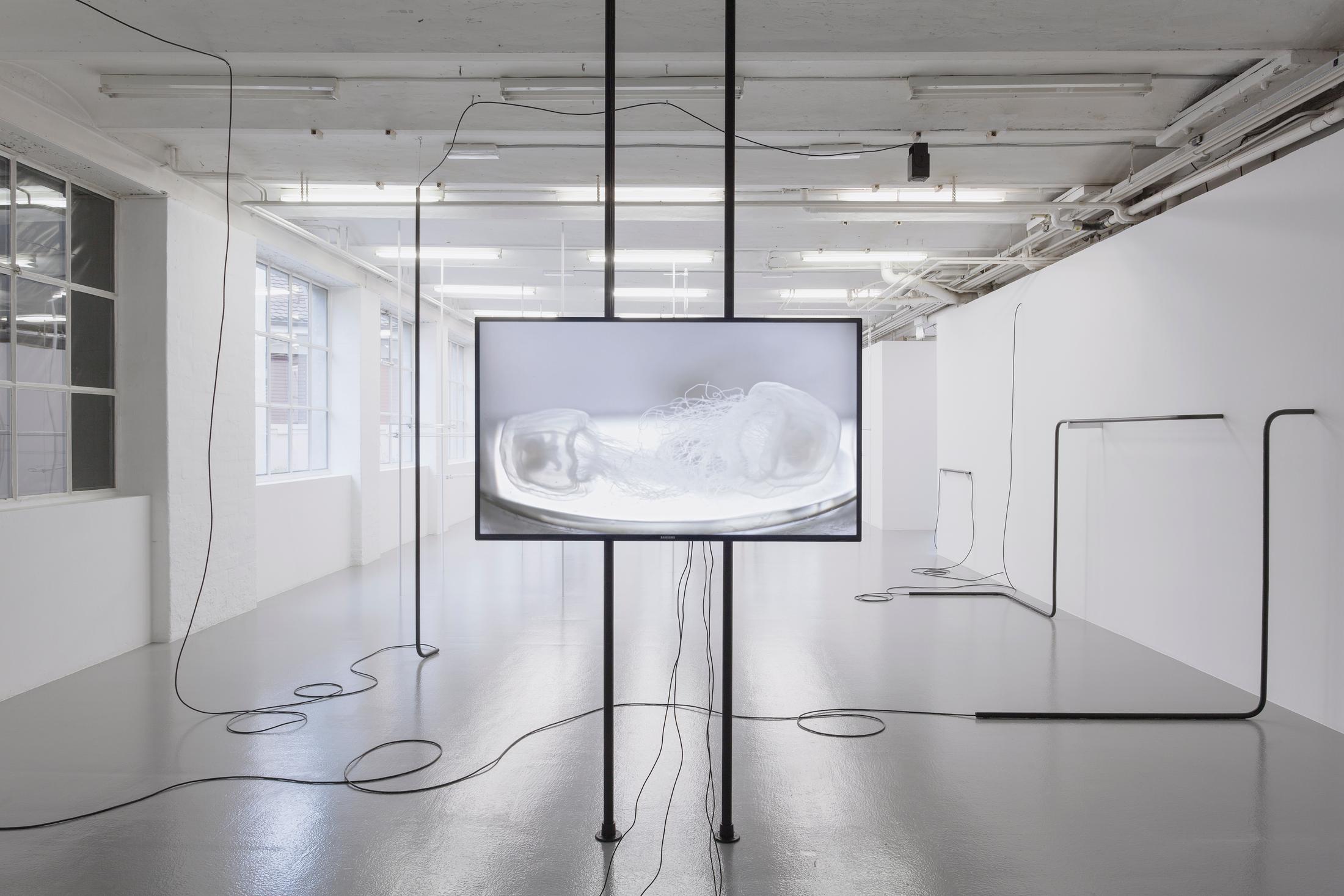 © 2017, CAN Centre d'art Neuchâtel. Photo: A. Satus / Courtesy: the artist