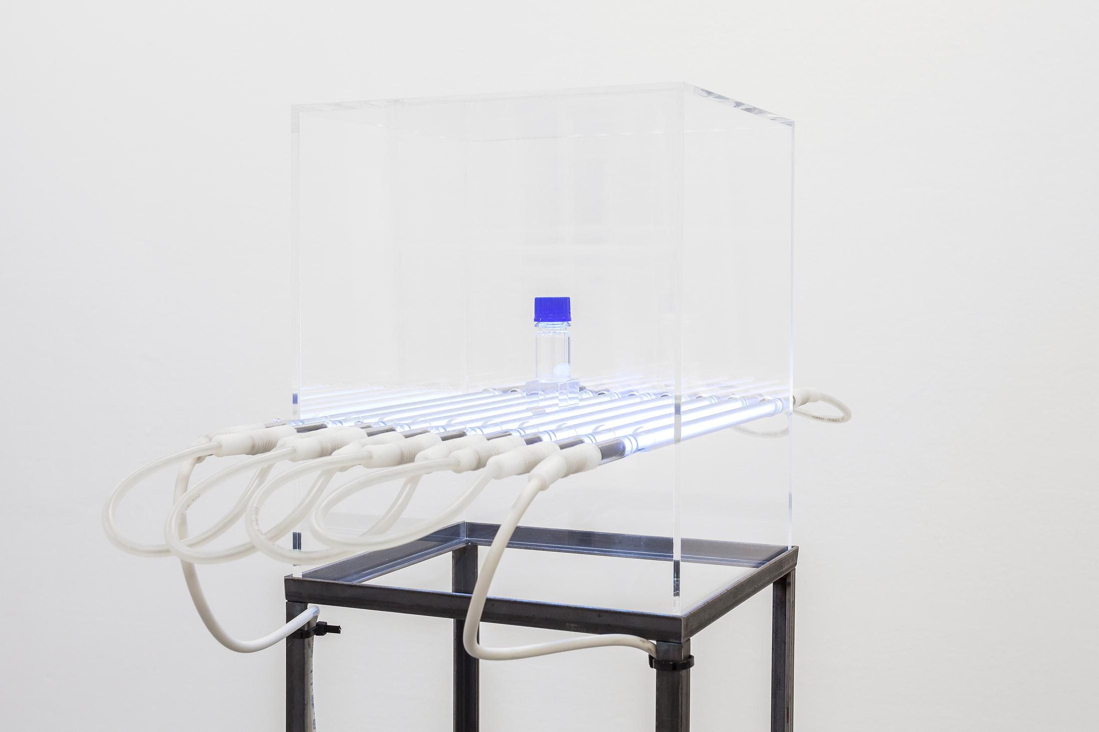 © 2017, CAN Centre d'art Neuchâtel. Photo: A. Satus / Courtesy: the artist