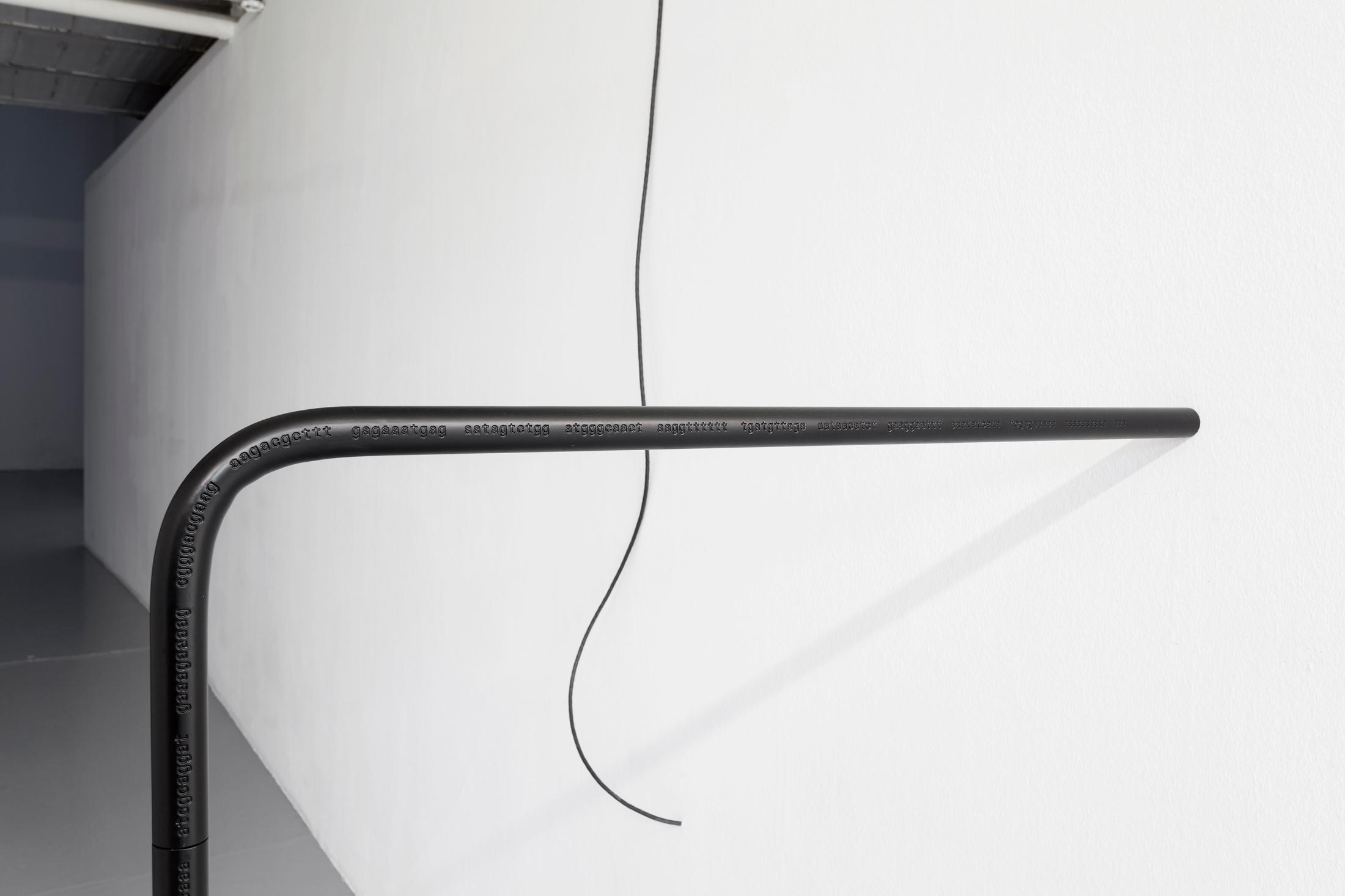 © 2017, CAN Centre d'art Neuchâtel. Photo: A. Satus / Courtesy: the artist