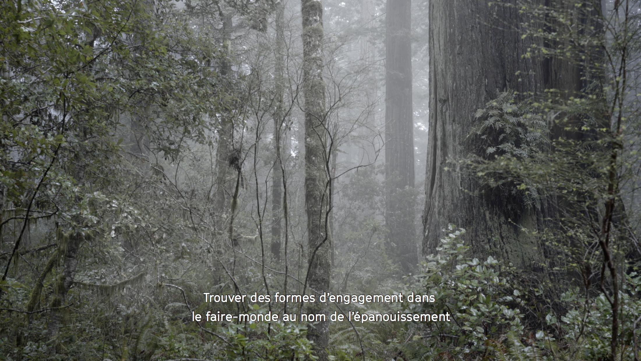 © Filmstill Dominique Koch "Holobiont Society" / Courtesy: the artist