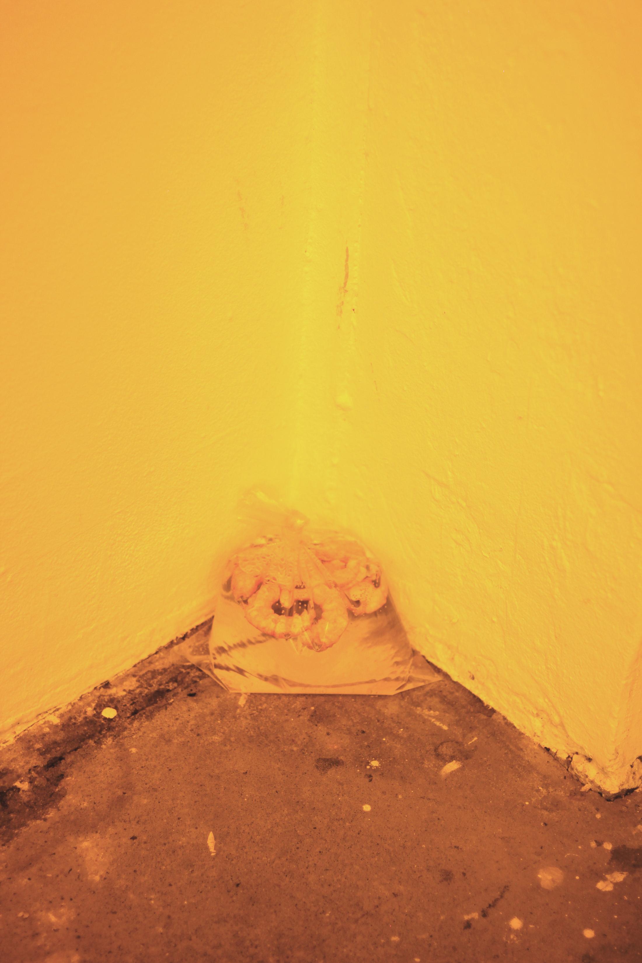 Exhibition View Group Show «Dopesick; view on Vanessa Billy, Fingers, 2015» at Binz39, Zurich, 2022 / Photo: Cagey / Courtesy: the artists and Binz39