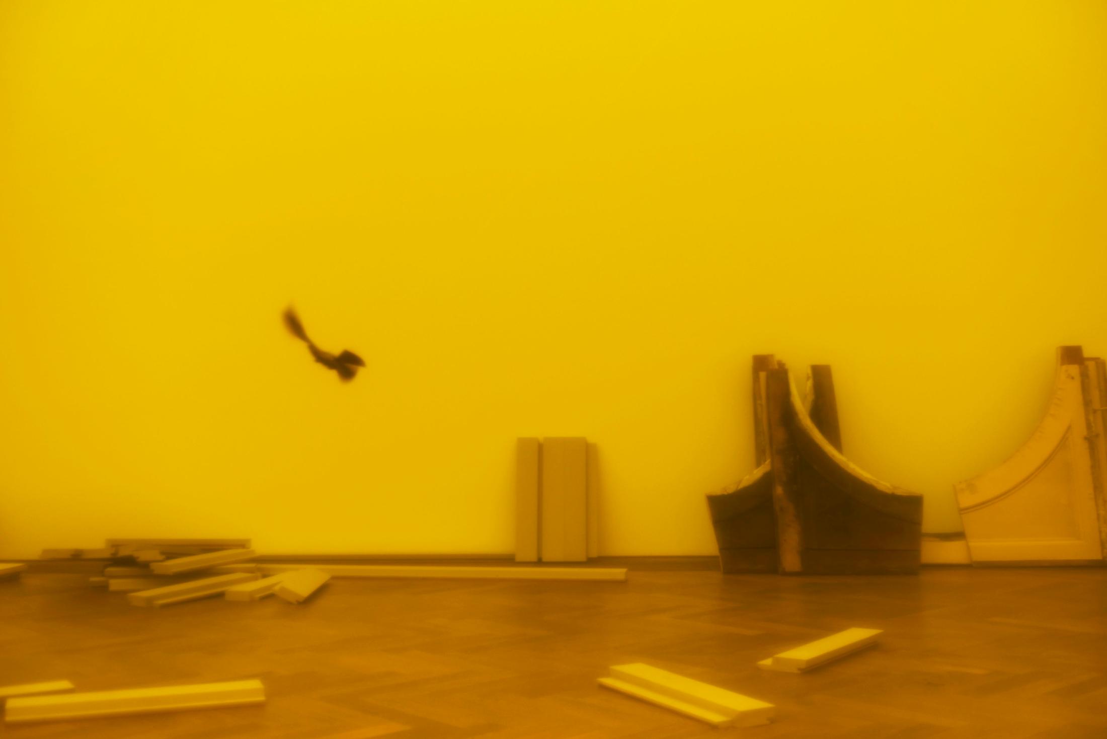 Exhibition View Dora Budor Soloshow «I am Gong» at Kunsthalle Basel / Photo: Philipp Hänger / Courtesy: the artist