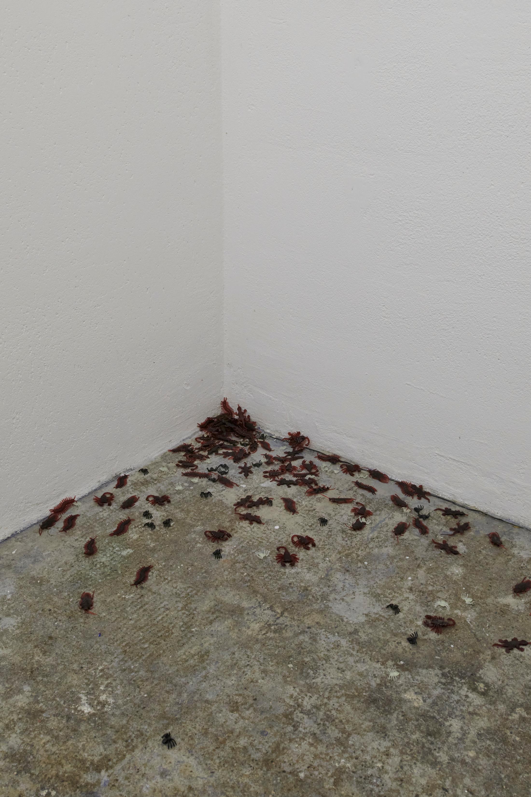 Exhibition View Duo Show «Human Tank» at WallStreet, Fribourg, 2022 / Photo: Guillaume Python / Courtesy: the artists and WallStreet