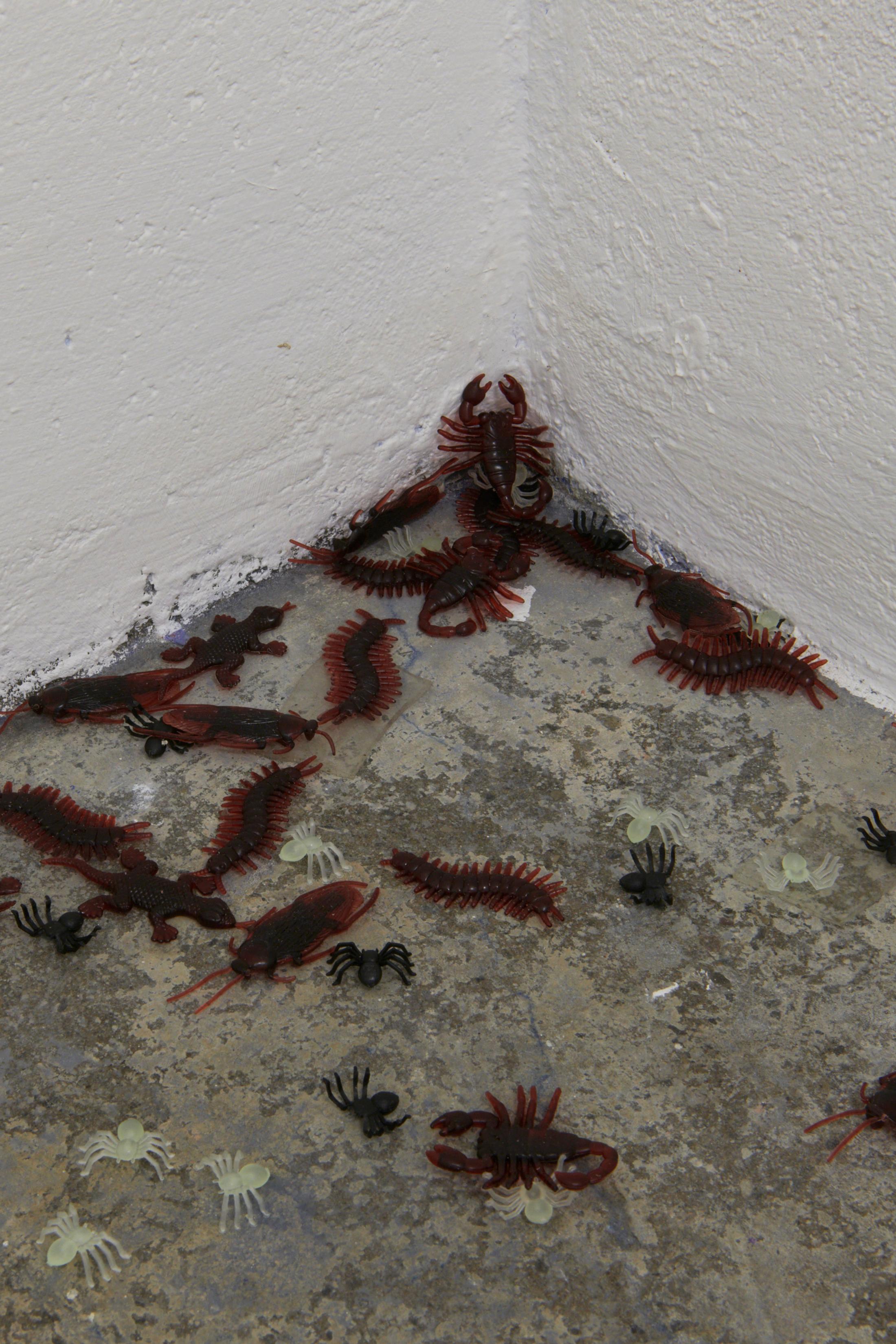 Exhibition View Duo Show «Human Tank, view on Doris Dehan Son & Sinae Yoo, Really real, 2022» at WallStreet, Fribourg, 2022 / Photo: Guillaume Python / Courtesy: the artists and WallStreet