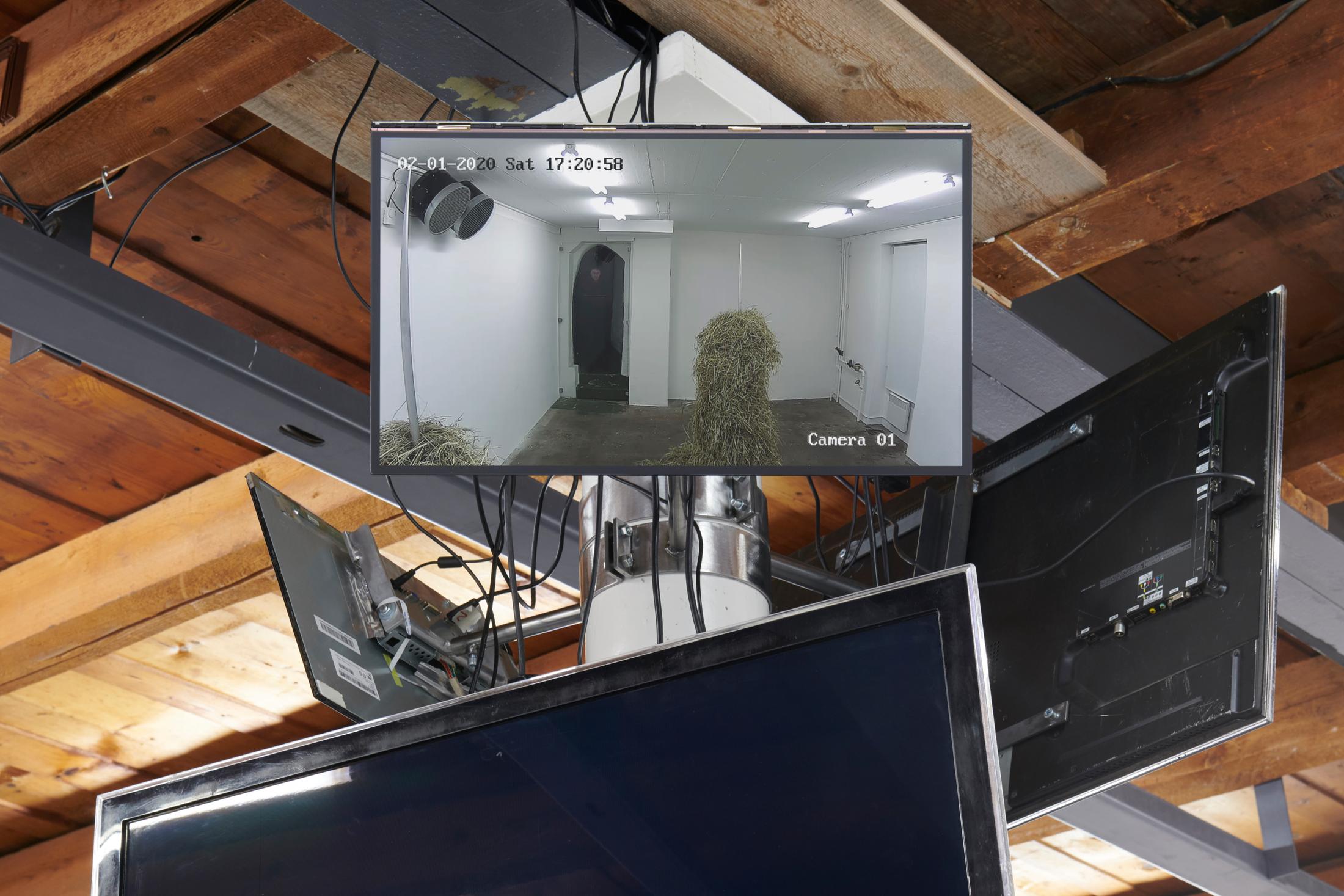 Exhibition View Dorota Gawęda and Eglė Kulbokaitė Soloshow «Mouthless; view on Mouthless..., 2020» at Fri Art, Fribourg, 2020 / Photo: Guillaume Baeriswyl / Courtesy: Fri Art Kunsthalle