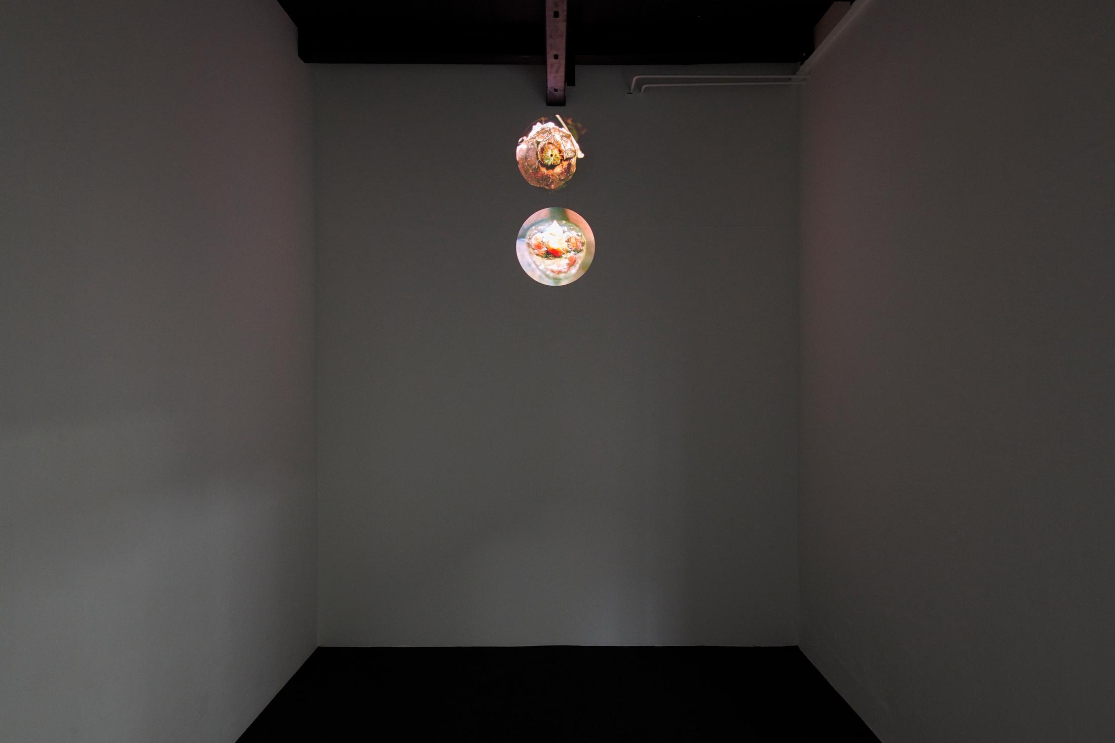 Exhibition View Dorota Gawęda and Eglė Kulbokaitė Soloshow «Mouthless» at Fri Art, Fribourg, 2020 / Photo: Guillaume Baeriswyl / Courtesy: Fri Art Kunsthalle