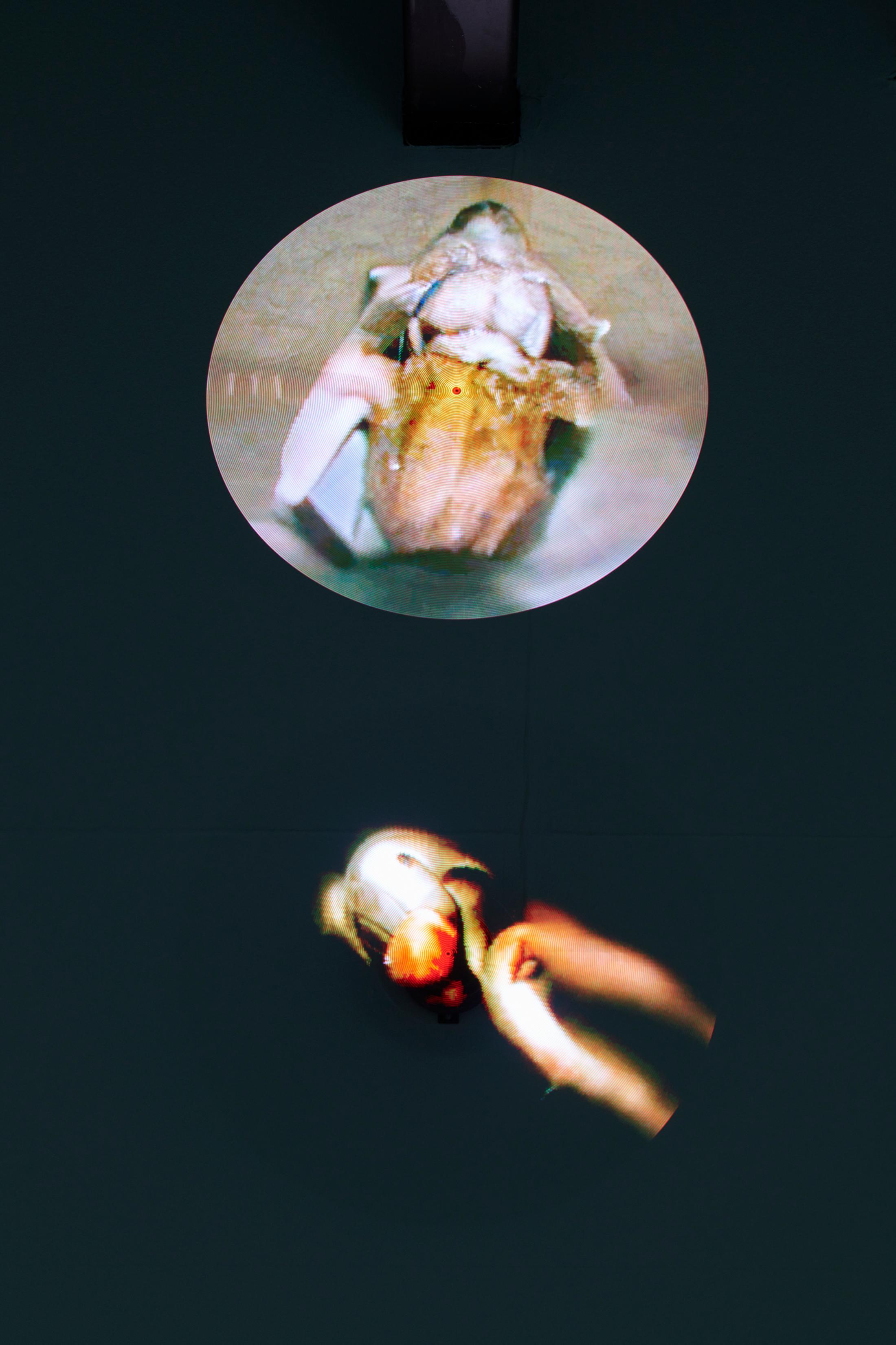 Exhibition View Dorota Gawęda and Eglė Kulbokaitė Soloshow «Mouthless» at Fri Art, Fribourg, 2020 / Photo: Guillaume Baeriswyl / Courtesy: Fri Art Kunsthalle