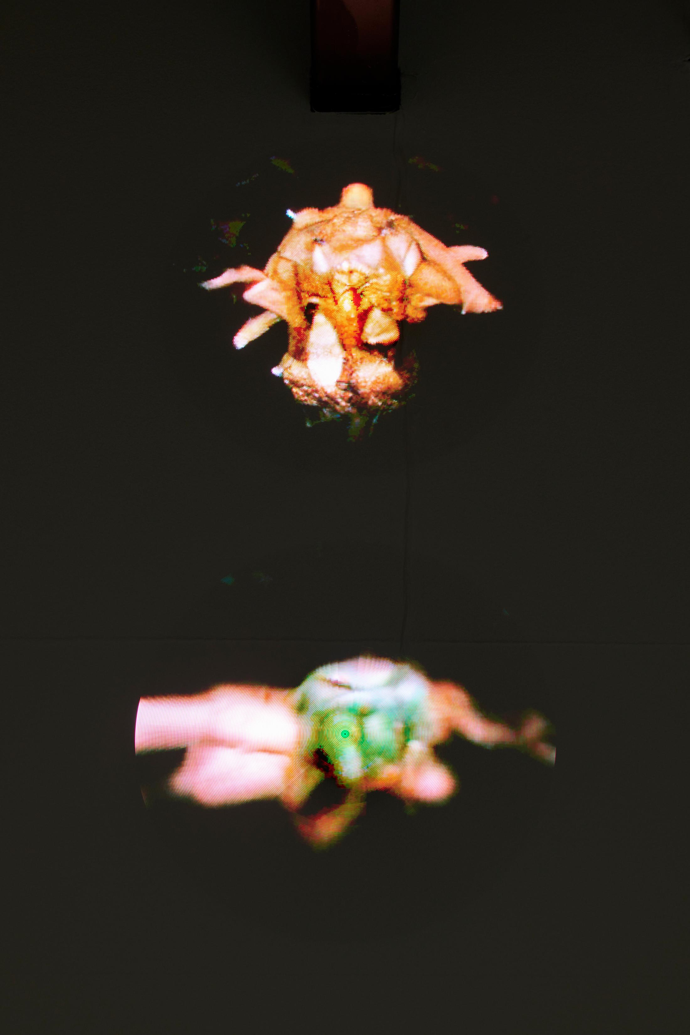 Exhibition View Dorota Gawęda and Eglė Kulbokaitė Soloshow «Mouthless» at Fri Art, Fribourg, 2020 / Photo: Guillaume Baeriswyl / Courtesy: Fri Art Kunsthalle