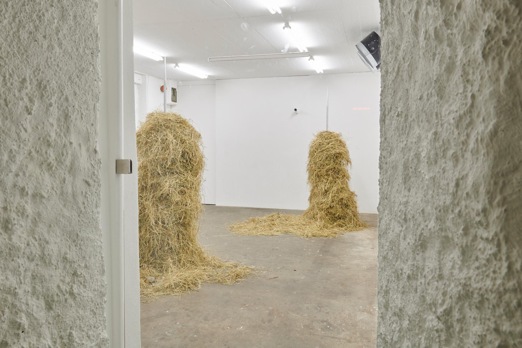 Exhibition View Dorota Gawęda and Eglė Kulbokaitė Soloshow «Mouthless» at WallRiss, Fribourg, 2020 / Photo: Guillaume Baeriswyl / Courtesy: Fri Art Kunsthalle