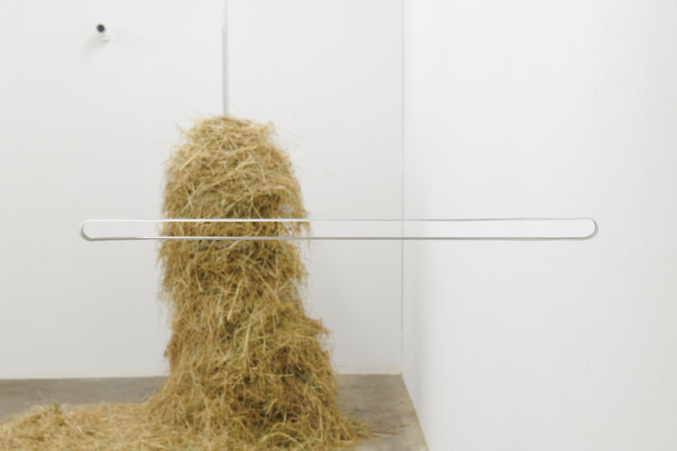 Exhibition View Dorota Gawęda and Eglė Kulbokaitė Soloshow «Mouthless; view on Untitled, 2020» at WallRiss, Fribourg, 2020 / Photo: Guillaume Baeriswyl / Courtesy: Fri Art Kunsthalle