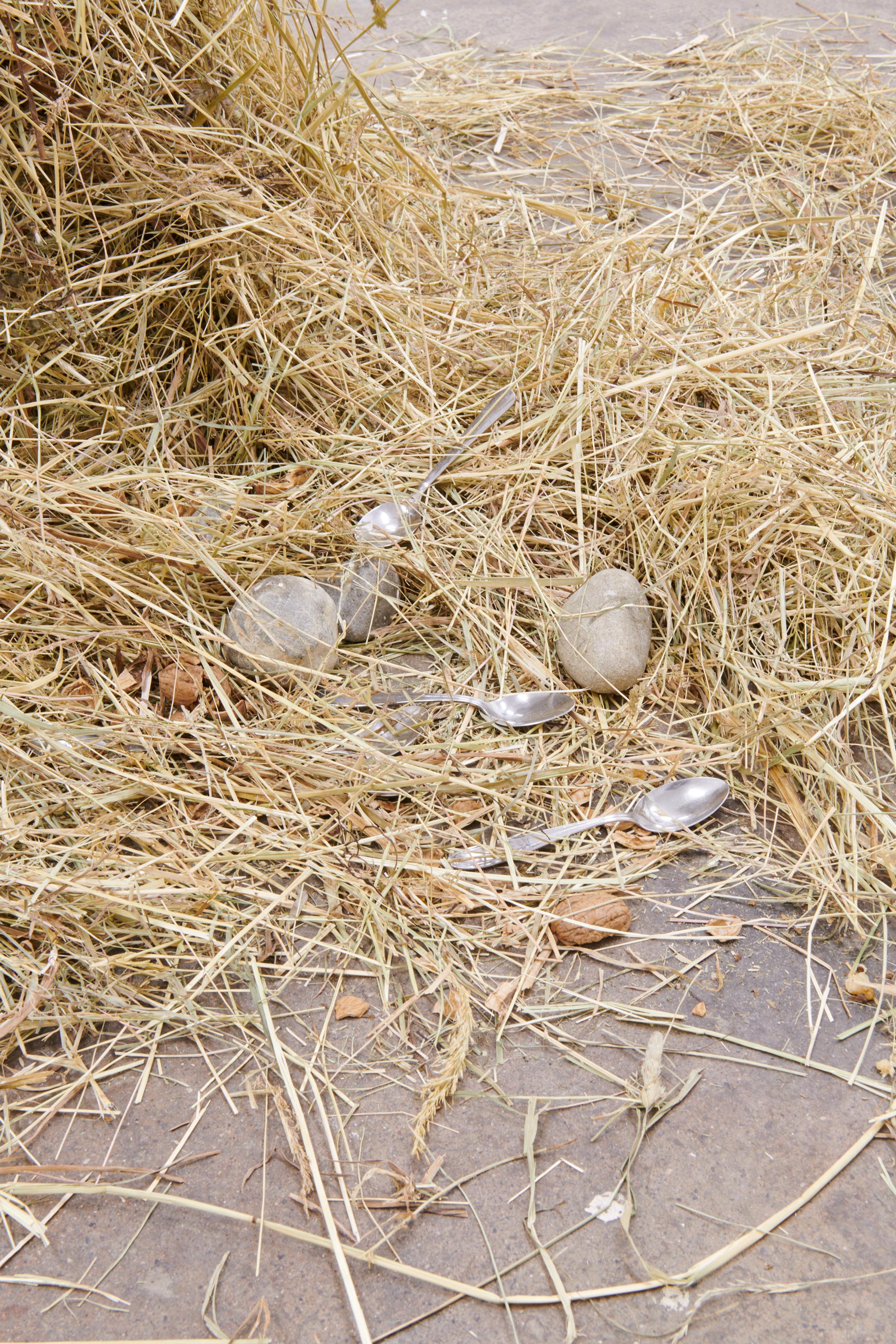 Exhibition View Dorota Gawęda and Eglė Kulbokaitė Soloshow «Mouthless; view on Hexanol (IV-V), 2020 (detail)» at WallRiss, Fribourg, 2020 / Photo: Guillaume Baeriswyl / Courtesy: Fri Art Kunsthalle