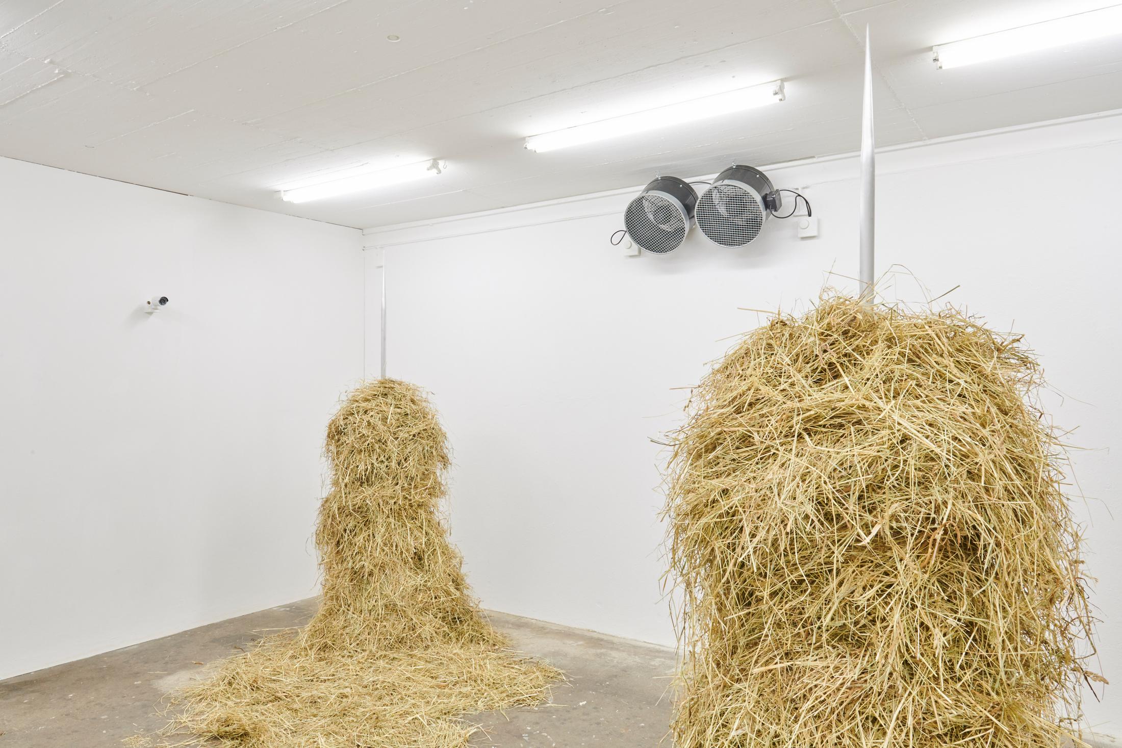 Exhibition View Dorota Gawęda and Eglė Kulbokaitė Soloshow «Mouthless» at WallRiss, Fribourg, 2020 / Photo: Guillaume Baeriswyl / Courtesy: Fri Art Kunsthalle