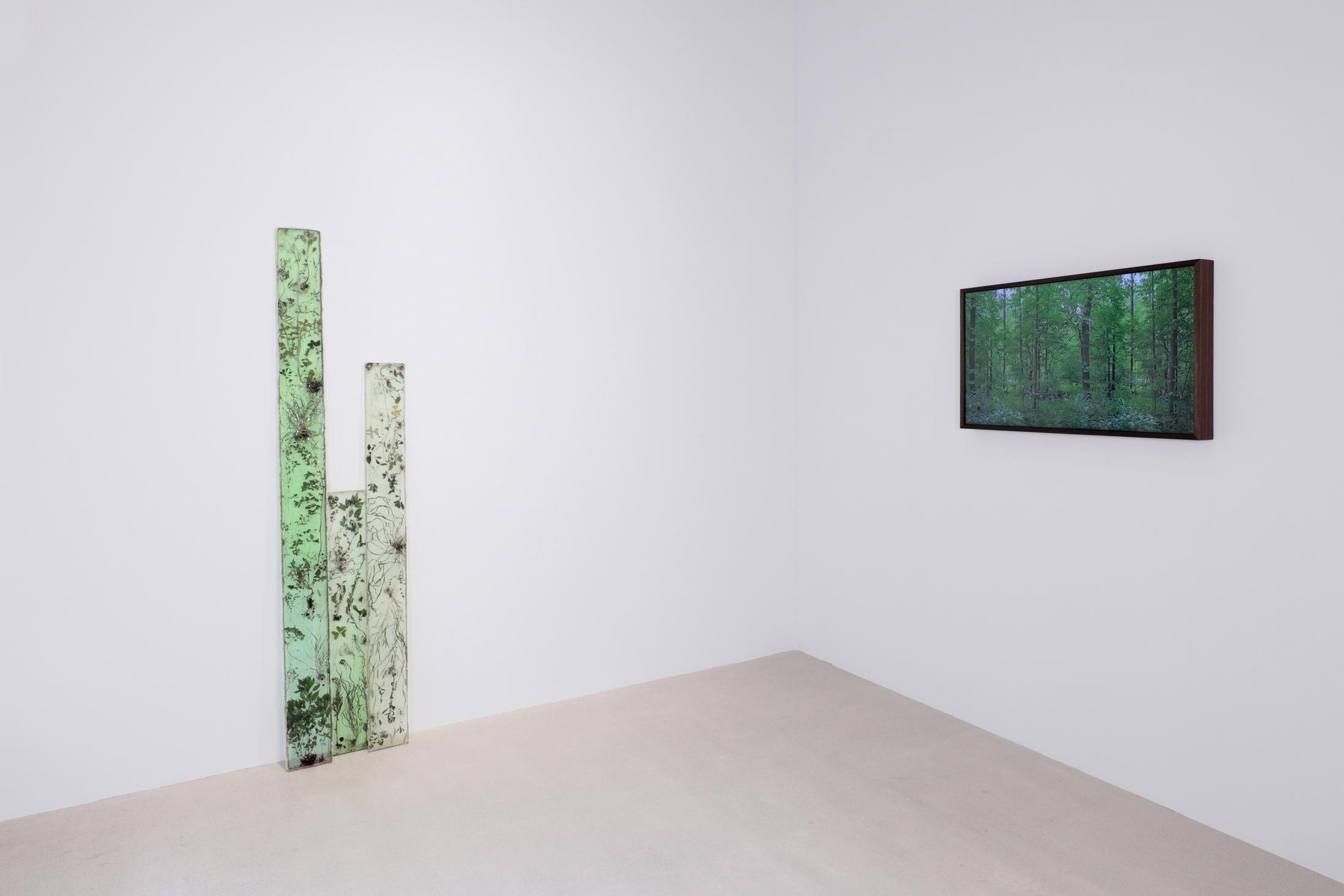 Exhibition view, EARTHBOUND, Windhager von Kaenel, Zurich, 2022 / Photo: WvK / Courtesy: the artists, Windhager von Kaenel and Dietrich & Schlechtriem Gallery