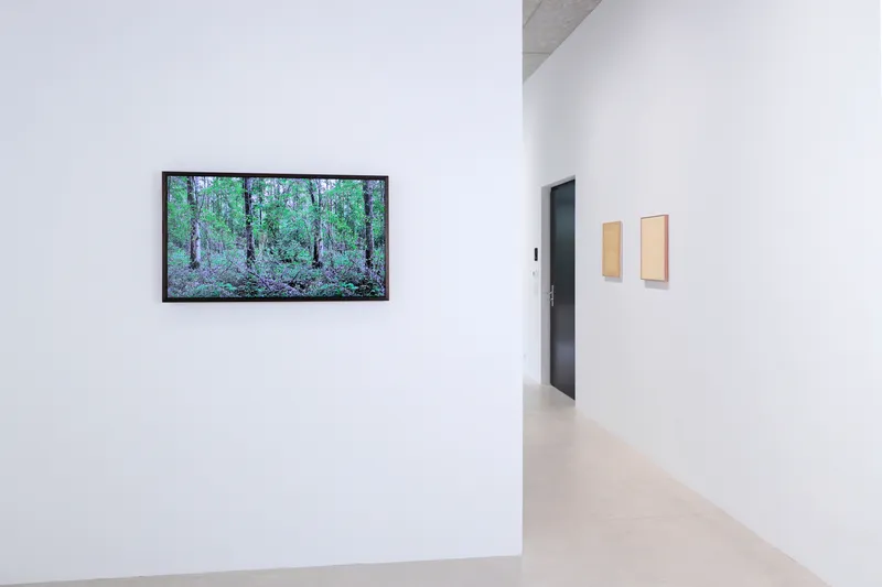 Exhibition view, EARTHBOUND, Windhager von Kaenel, Zurich, 2022 / Photo: WvK / Courtesy: the artists, Dietrich & Schlechtriem Gallery and Galerie Urs Meile
