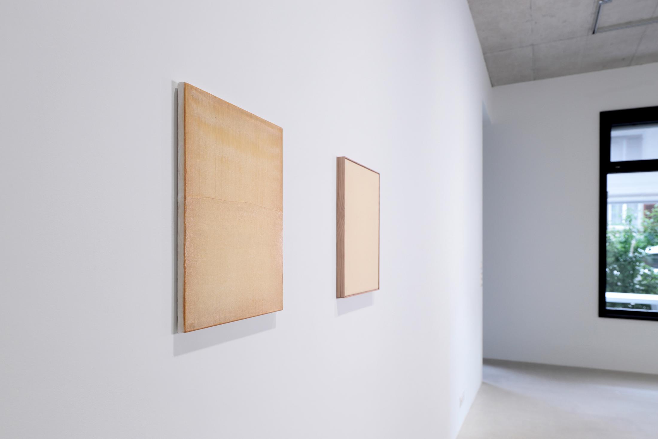 Exhibition view, EARTHBOUND, (view on Mirko Baselgia, Rascha, 2015 and nuée, 2022), Windhager von Kaenel, Zurich, 2022 / Photo: WvK / Courtesy: the artist and Galerie Urs Meile