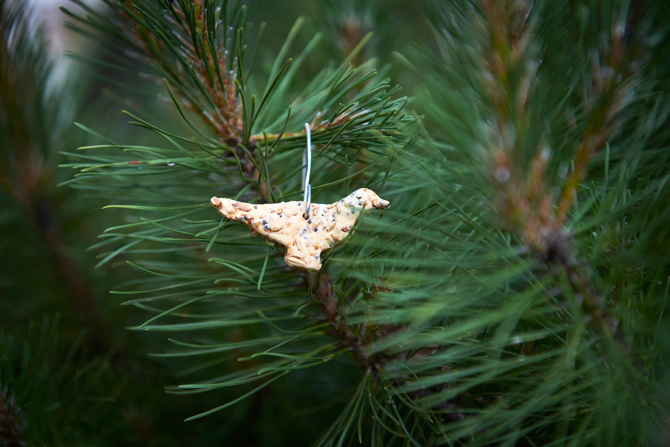 Performance «Neighbourhood Birdfeed, 2022» by Sergio Rojas Chaves on the occaison of the opening of EARTHBOUND at Windhager von Kaenel, 10 June 2022 / Photo: Anna Maysuk / Courtesy: the artist and Windhager von Kaenel