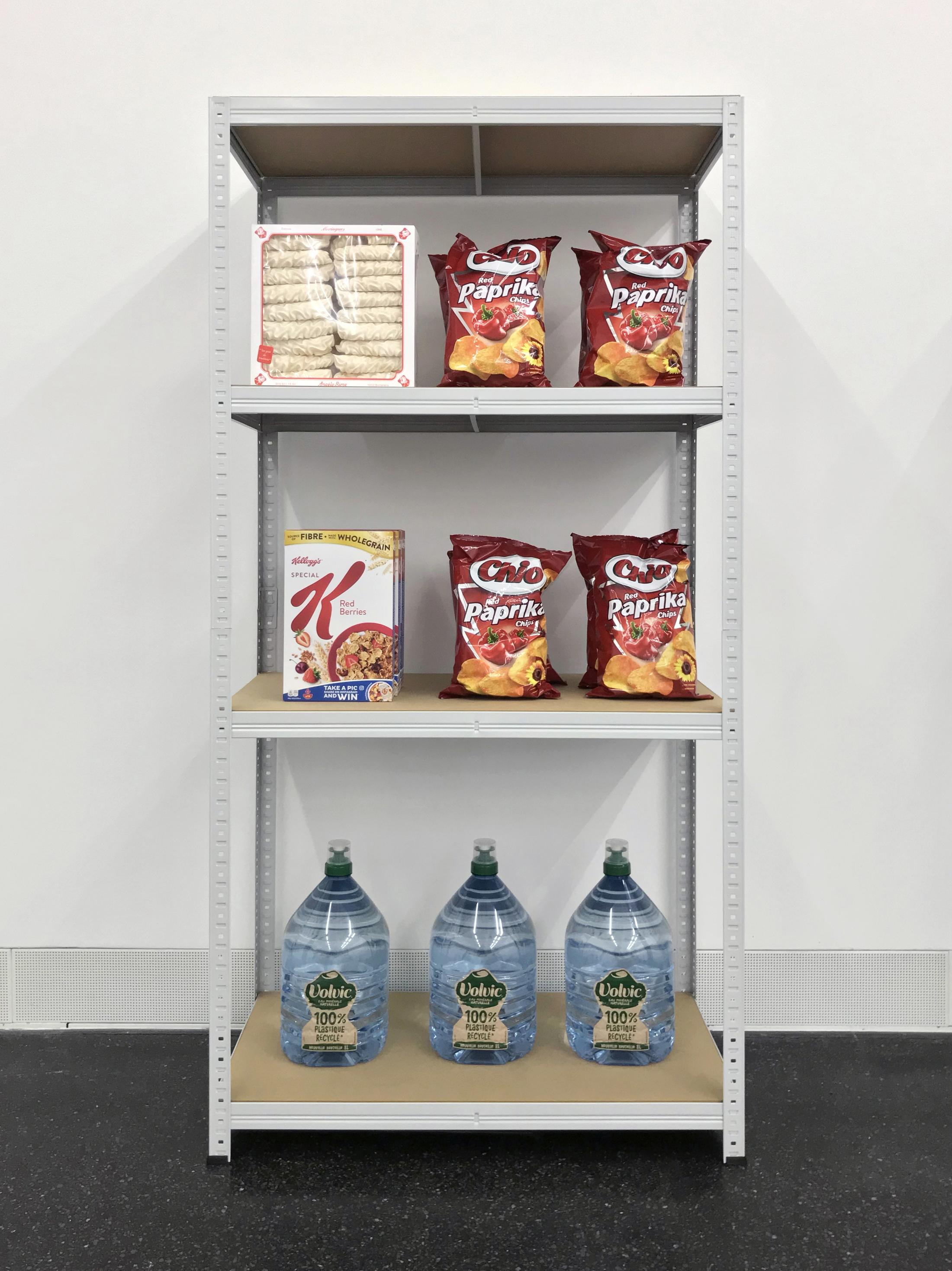 Exhibition View Eliza Douglas / Puppies Puppies (Jade Kuriki Olivo) Groupshow (view on Puppies Puppies, Survival Preparations (Dedicated to Carlos Olivo) (My Father) (RIP), 2019) at Galerie Francesca Pia, Zurich, 2019 / Photo: Annik Wetter / Courtesy: the artists and Galerie Francesca Pia