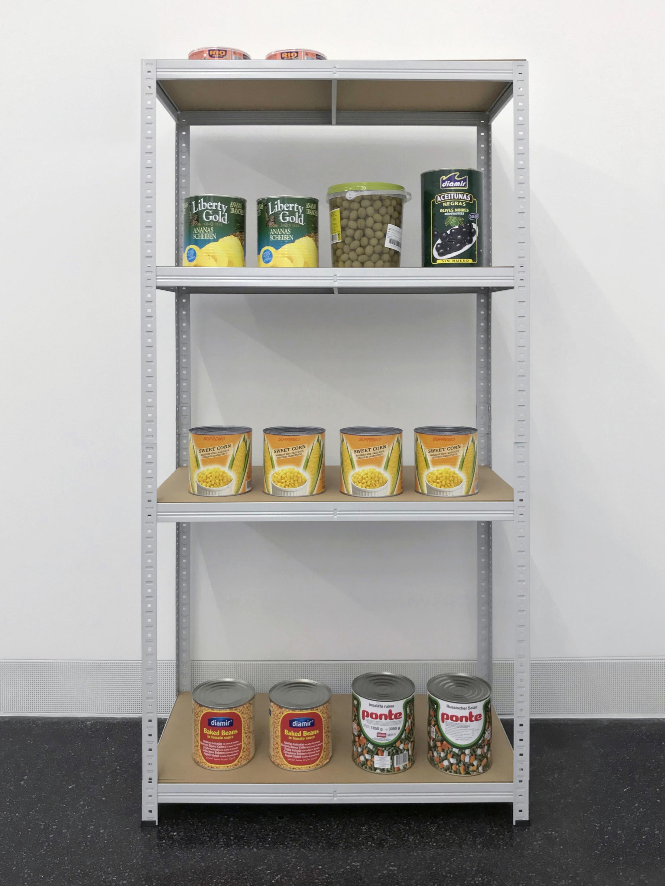 Exhibition View Eliza Douglas / Puppies Puppies (Jade Kuriki Olivo) Groupshow (view on Puppies Puppies, Survival Preparations (Dedicated to Carlos Olivo) (My Father) (RIP), 2019) at Galerie Francesca Pia, Zurich, 2019 / Photo: Annik Wetter / Courtesy: the artists and Galerie Francesca Pia