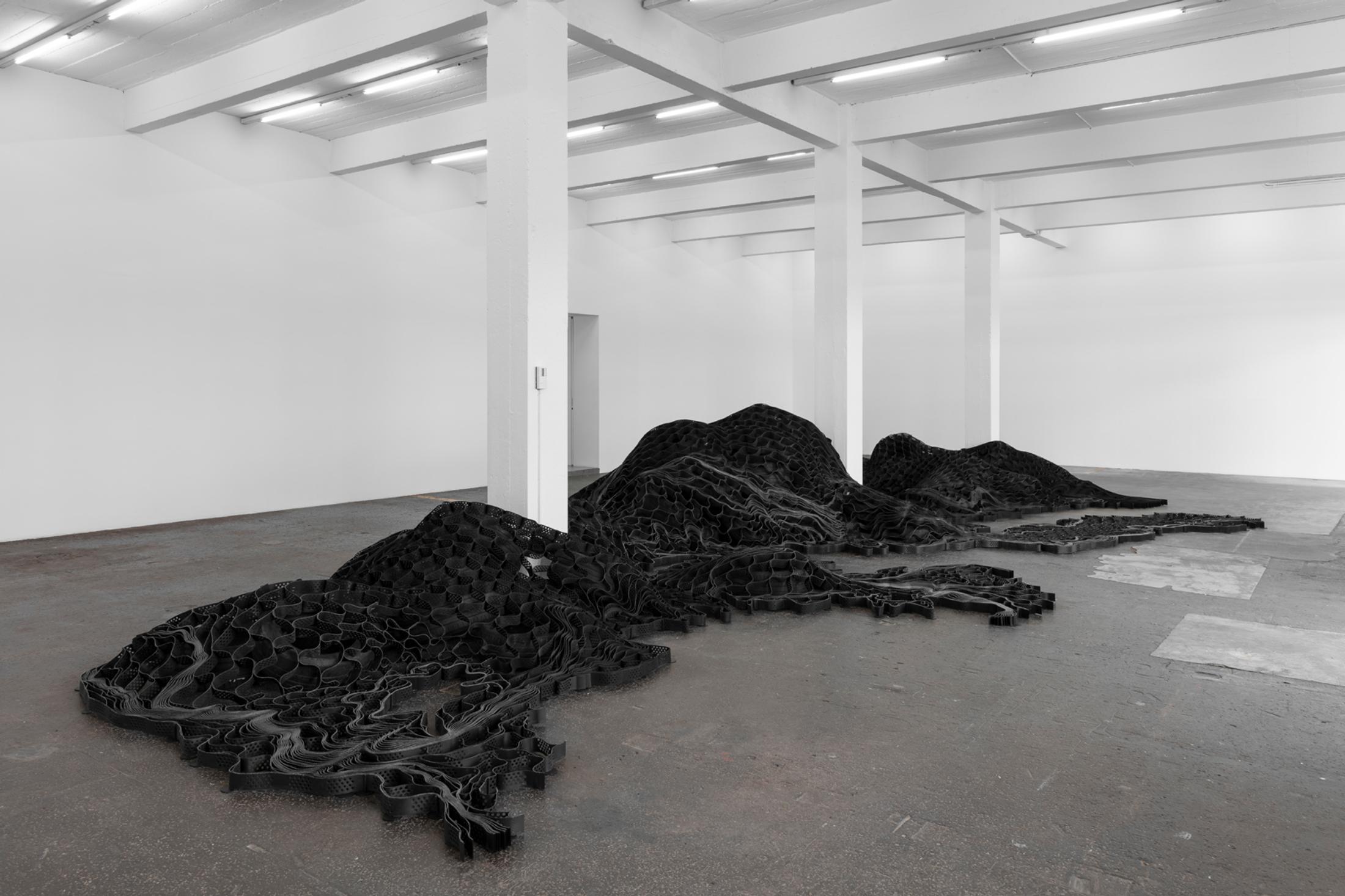 Exhibition View Ella Littwitz Soloshow «Promise ; view on The Elephant in the Room, 2019» at Kunsthalle Sankt Gallen, St. Gallen, 2019 / Photo: Gunnar Meier / Courtesy: the artist, Harlan Levey Projects, Brussels; Copperfield Gallery, London