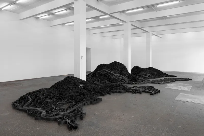 Exhibition View Ella Littwitz Soloshow «Promise ; view on The Elephant in the Room, 2019» at Kunsthalle Sankt Gallen, St. Gallen, 2019 / Photo: Gunnar Meier / Courtesy: the artist, Harlan Levey Projects, Brussels; Copperfield Gallery, London