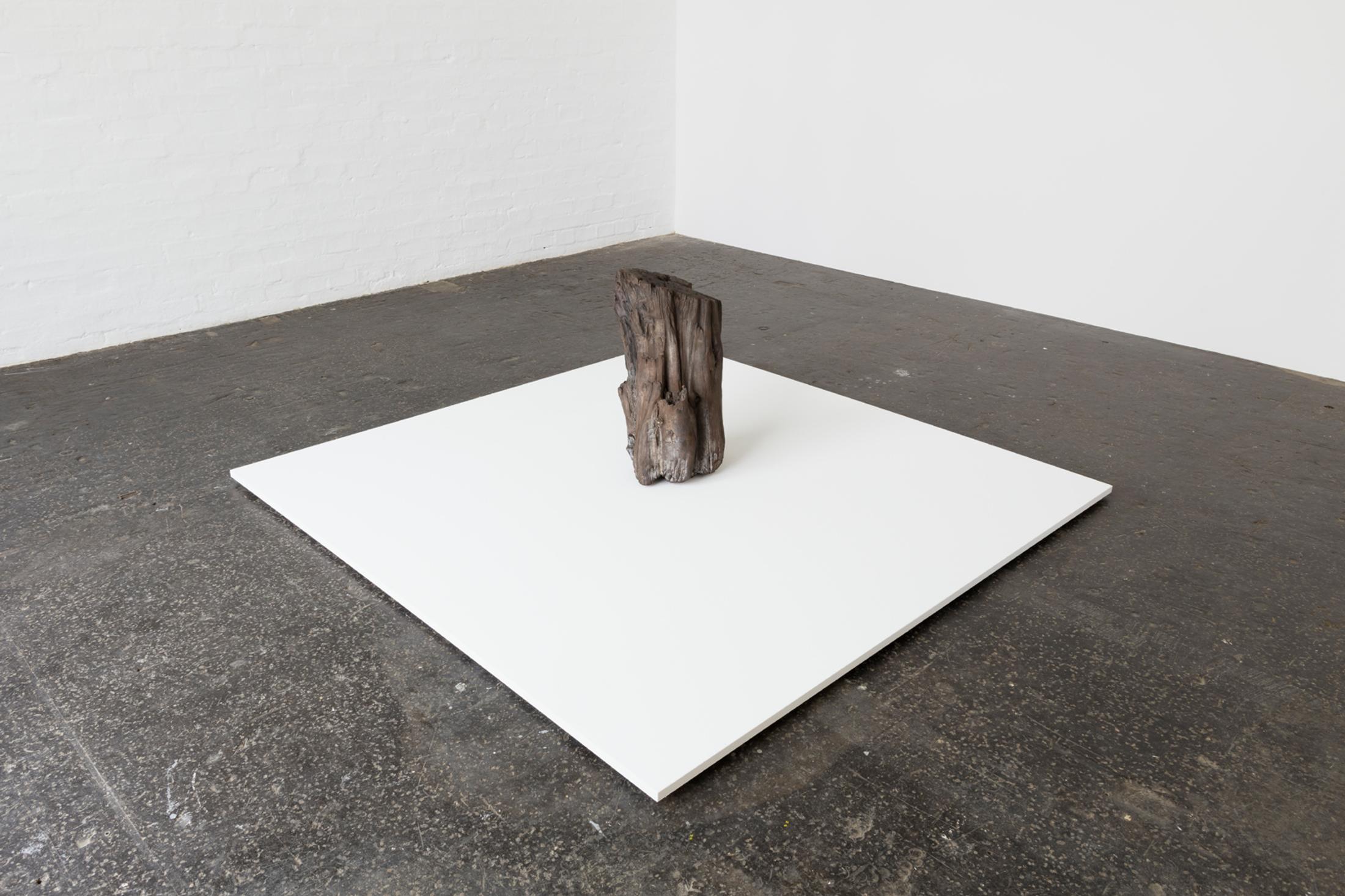 Exhibition View Ella Littwitz Soloshow «Promise ; view on The Promise, 2019» at Kunsthalle Sankt Gallen, St. Gallen, 2019 / Photo: Gunnar Meier / Courtesy: the artist, Harlan Levey Projects, Brussels; Copperfield Gallery, London