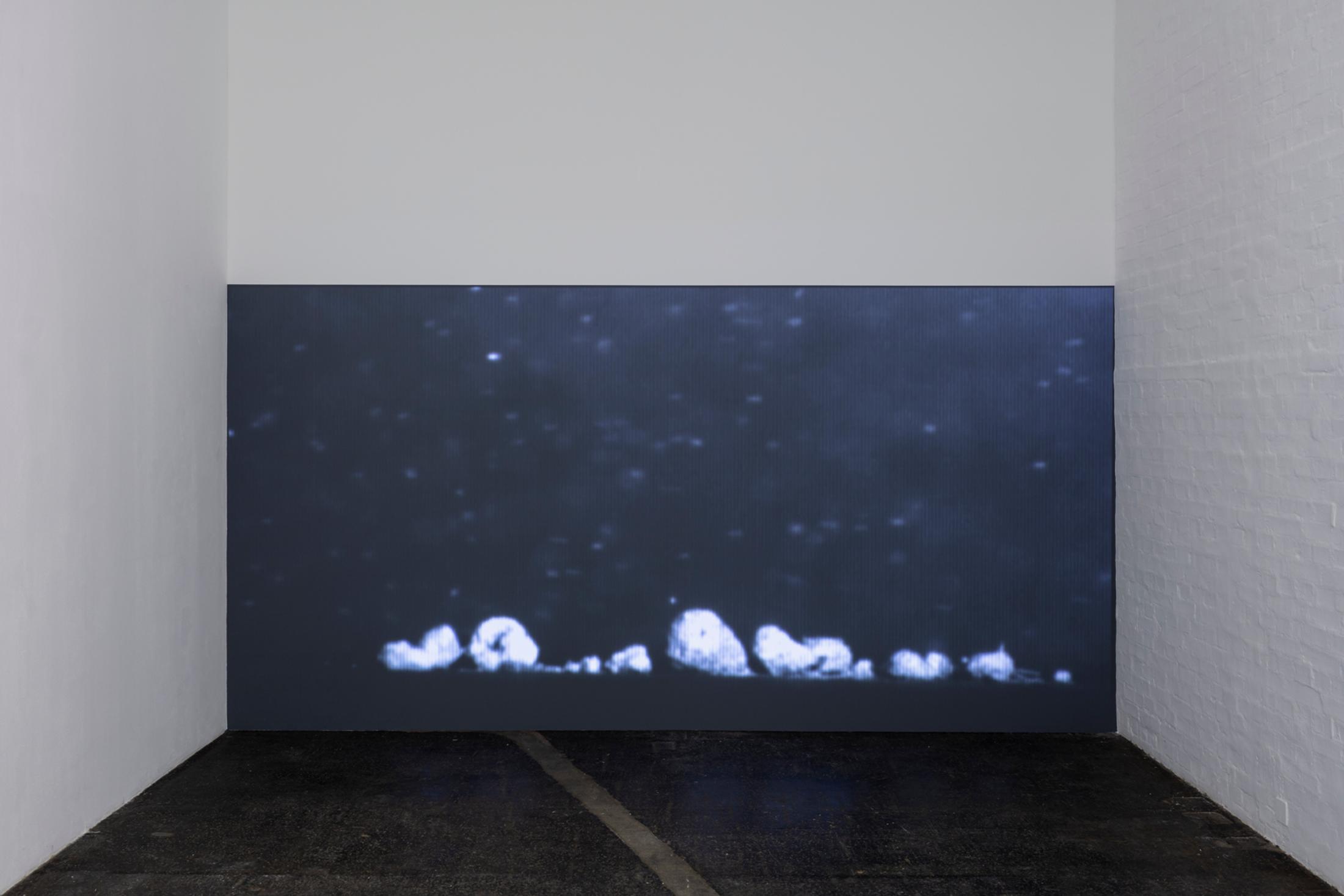 Exhibition View Ella Littwitz Soloshow «Promise ; Dune, 2017» at Kunsthalle Sankt Gallen, St. Gallen, 2019 / Photo: Gunnar Meier / Courtesy: the artist, Harlan Levey Projects, Brussels; Copperfield Gallery, London