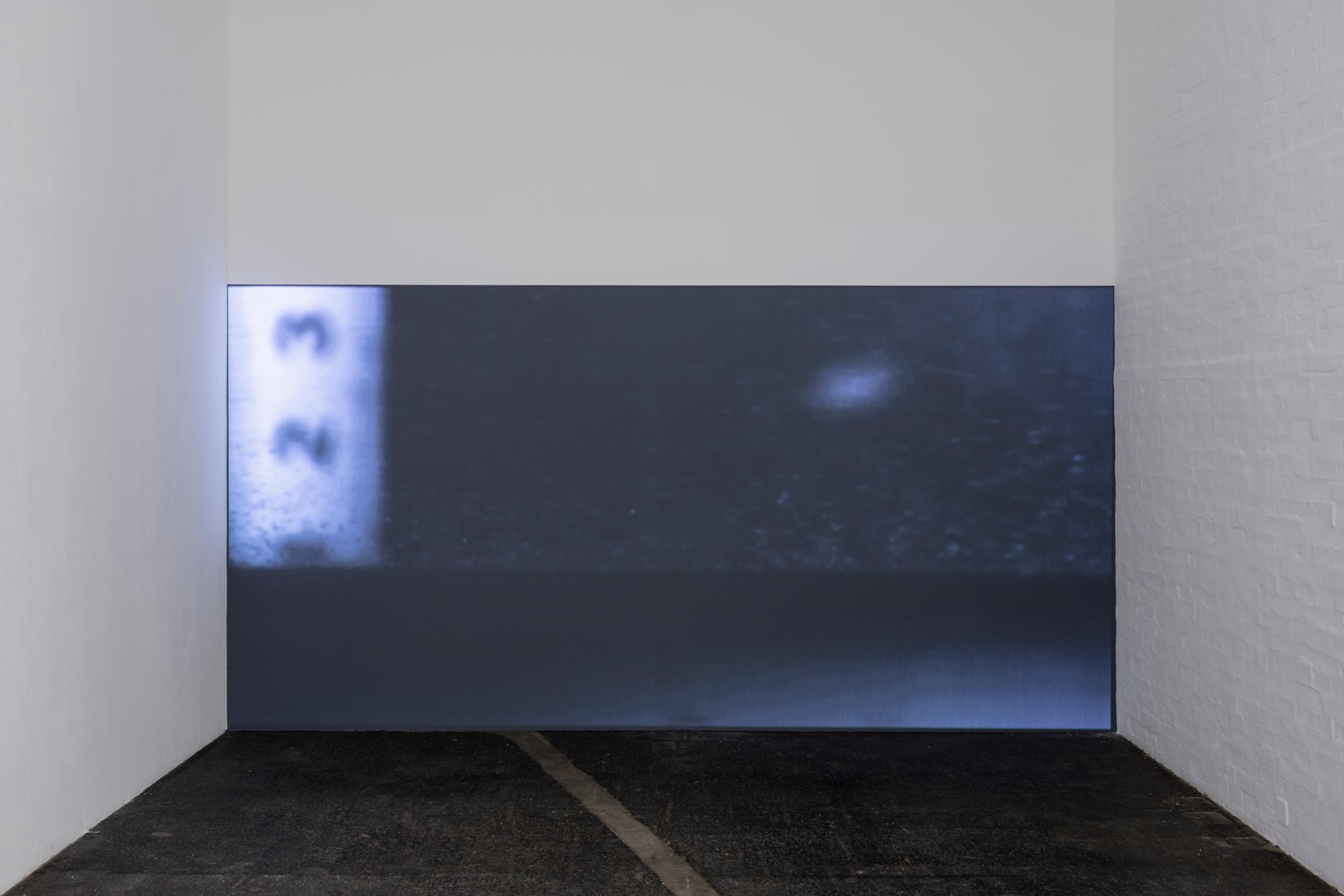 Exhibition View Ella Littwitz Soloshow «Promise ; Dune, 2017» at Kunsthalle Sankt Gallen, St. Gallen, 2019 / Photo: Gunnar Meier / Courtesy: the artist, Harlan Levey Projects, Brussels; Copperfield Gallery, London