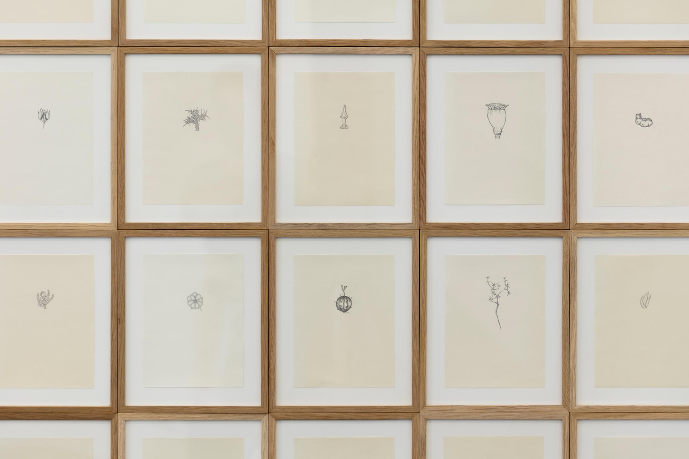 Exhibition View Ella Littwitz Soloshow «Promise ; view on Uproot, 2014 (detail)» at Kunsthalle Sankt Gallen, St. Gallen, 2019 / Photo: Gunnar Meier / Courtesy: the artist, Harlan Levey Projects, Brussels; Copperfield Gallery, London