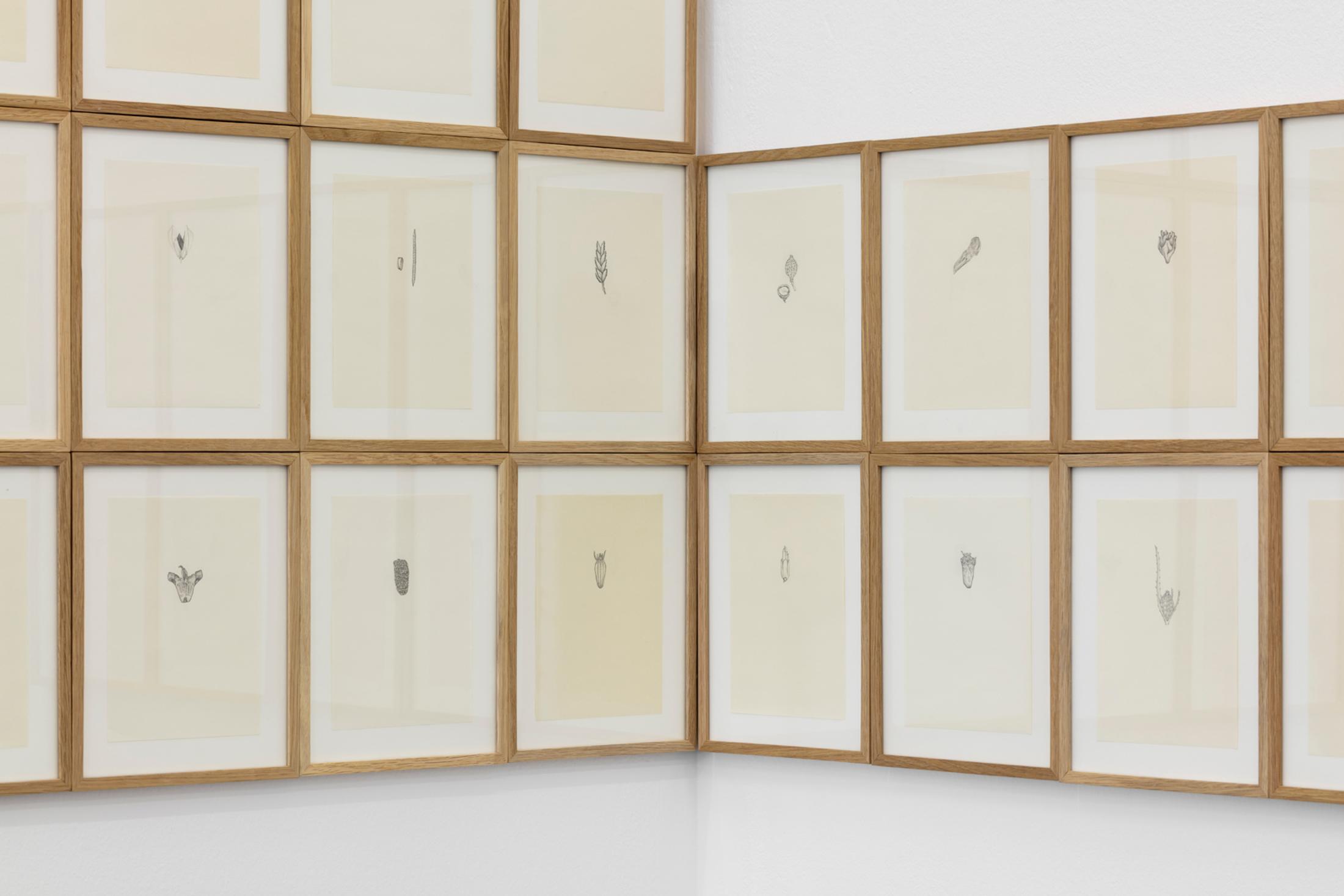 Exhibition View Ella Littwitz Soloshow «Promise ; view on Uproot, 2014 (detail)» at Kunsthalle Sankt Gallen, St. Gallen, 2019 / Photo: Gunnar Meier / Courtesy: the artist, Harlan Levey Projects, Brussels; Copperfield Gallery, London