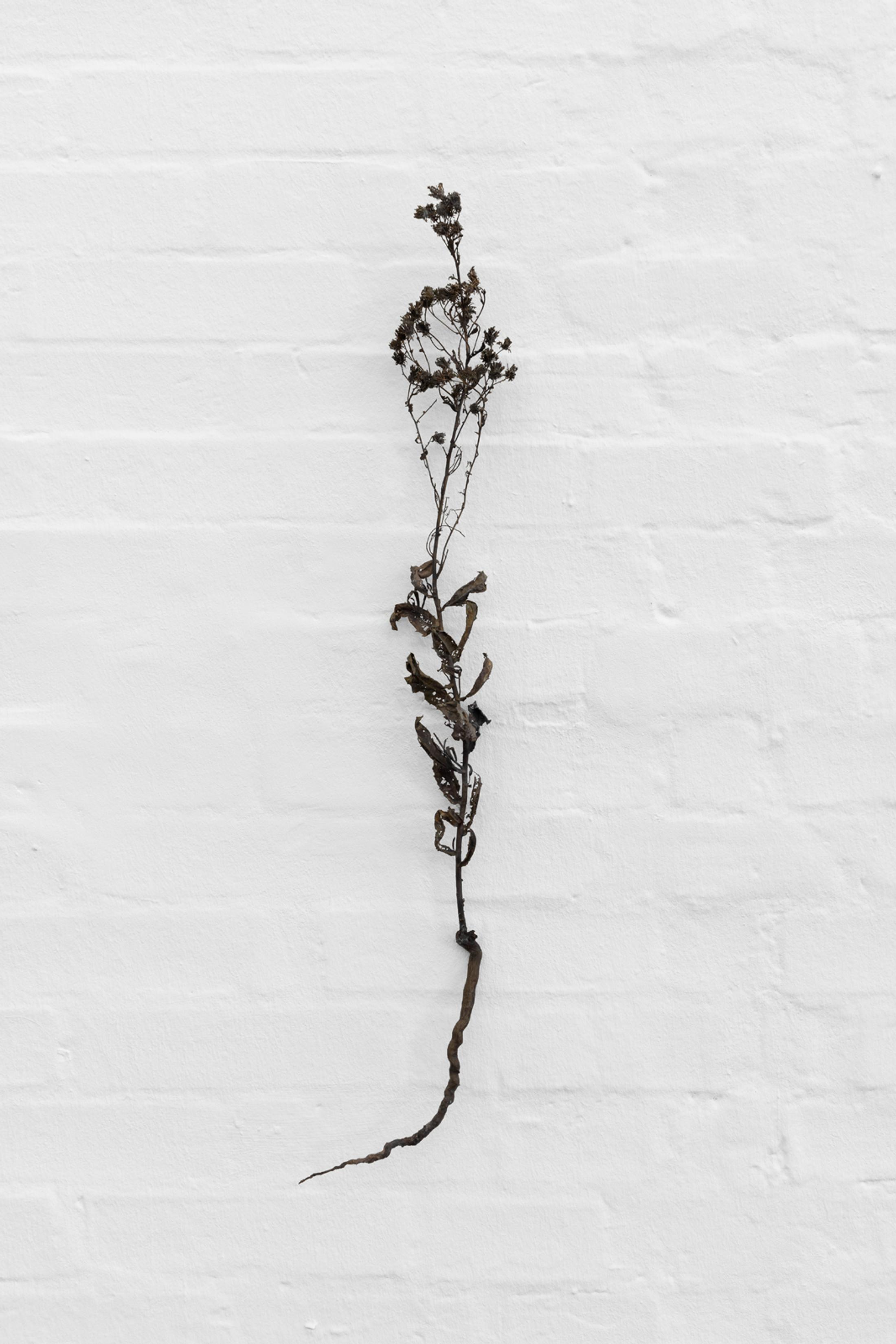 Exhibition View Ella Littwitz Soloshow «Promise ; view on Muşah, 2019» at Kunsthalle Sankt Gallen, St. Gallen, 2019 / Photo: Gunnar Meier / Courtesy: the artist, Harlan Levey Projects, Brussels; Copperfield Gallery, London