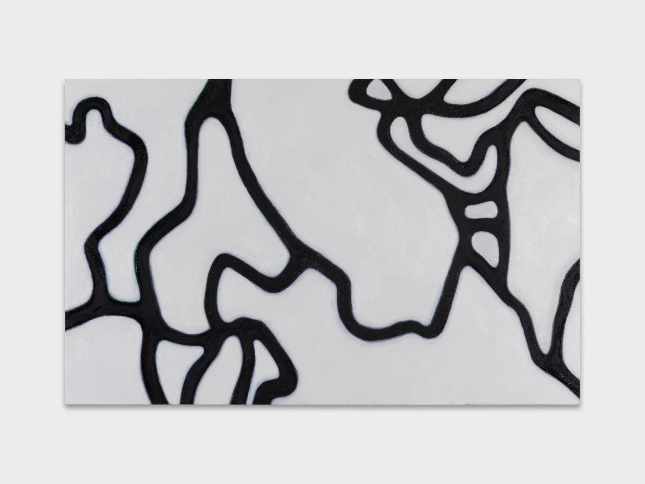 Installation View Emil Michael Klein "Darkotic" at Kunsthalle Zürich, 2017 / Photo: Annik Wetter / Courtesy: the artist