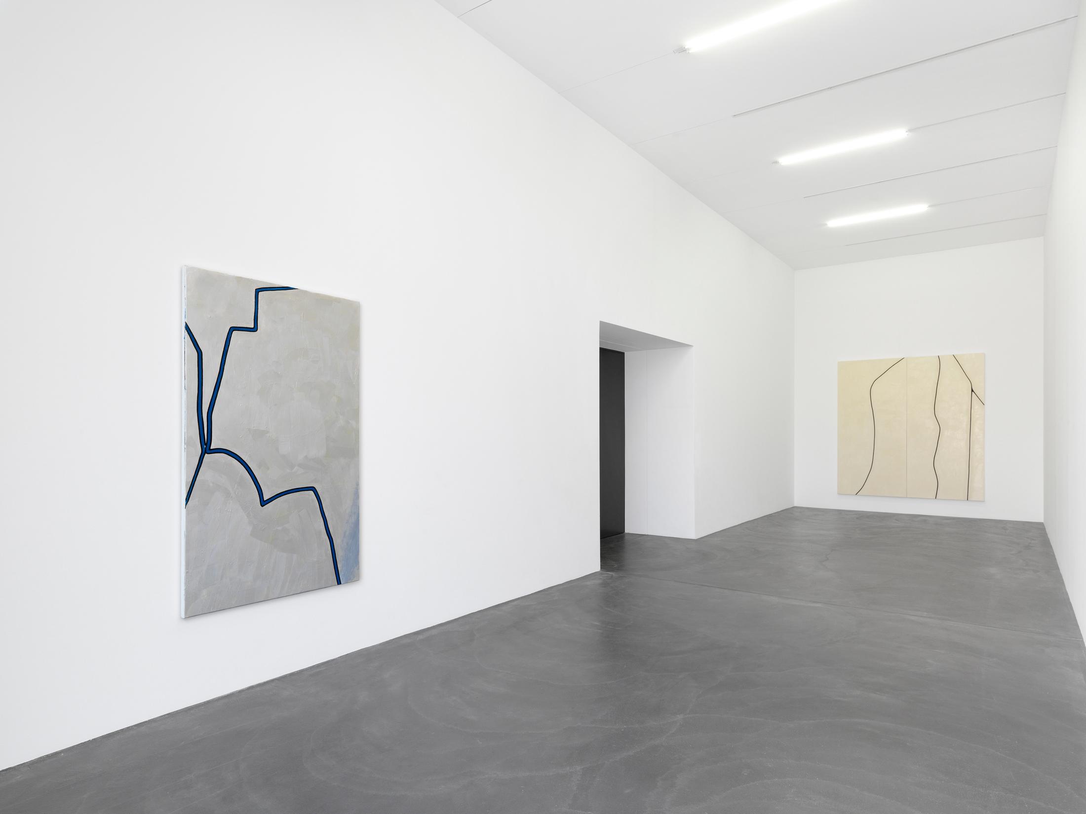 Installation View Emil Michael Klein "Darkotic" at Kunsthalle Zürich, 2017 / Photo: Annik Wetter / Courtesy: the artist