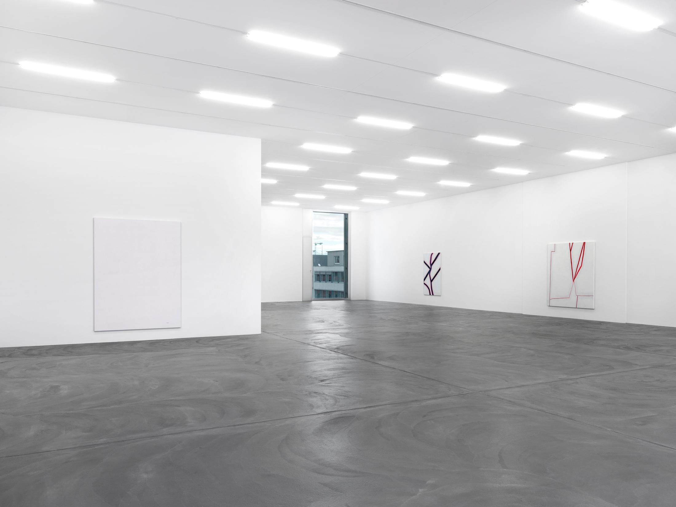 Installation View Emil Michael Klein "Darkotic" at Kunsthalle Zürich, 2017 / Photo: Annik Wetter / Courtesy: the artist