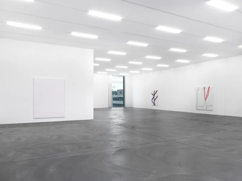 Installation View Emil Michael Klein "Darkotic" at Kunsthalle Zürich, 2017 / Photo: Annik Wetter / Courtesy: the artist