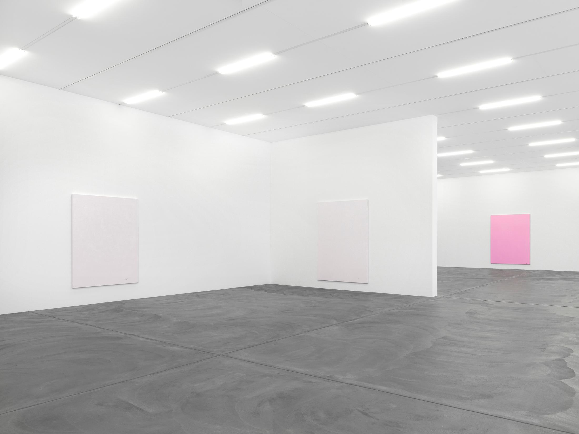 Installation View Emil Michael Klein "Darkotic" at Kunsthalle Zürich, 2017 / Photo: Annik Wetter / Courtesy: the artist