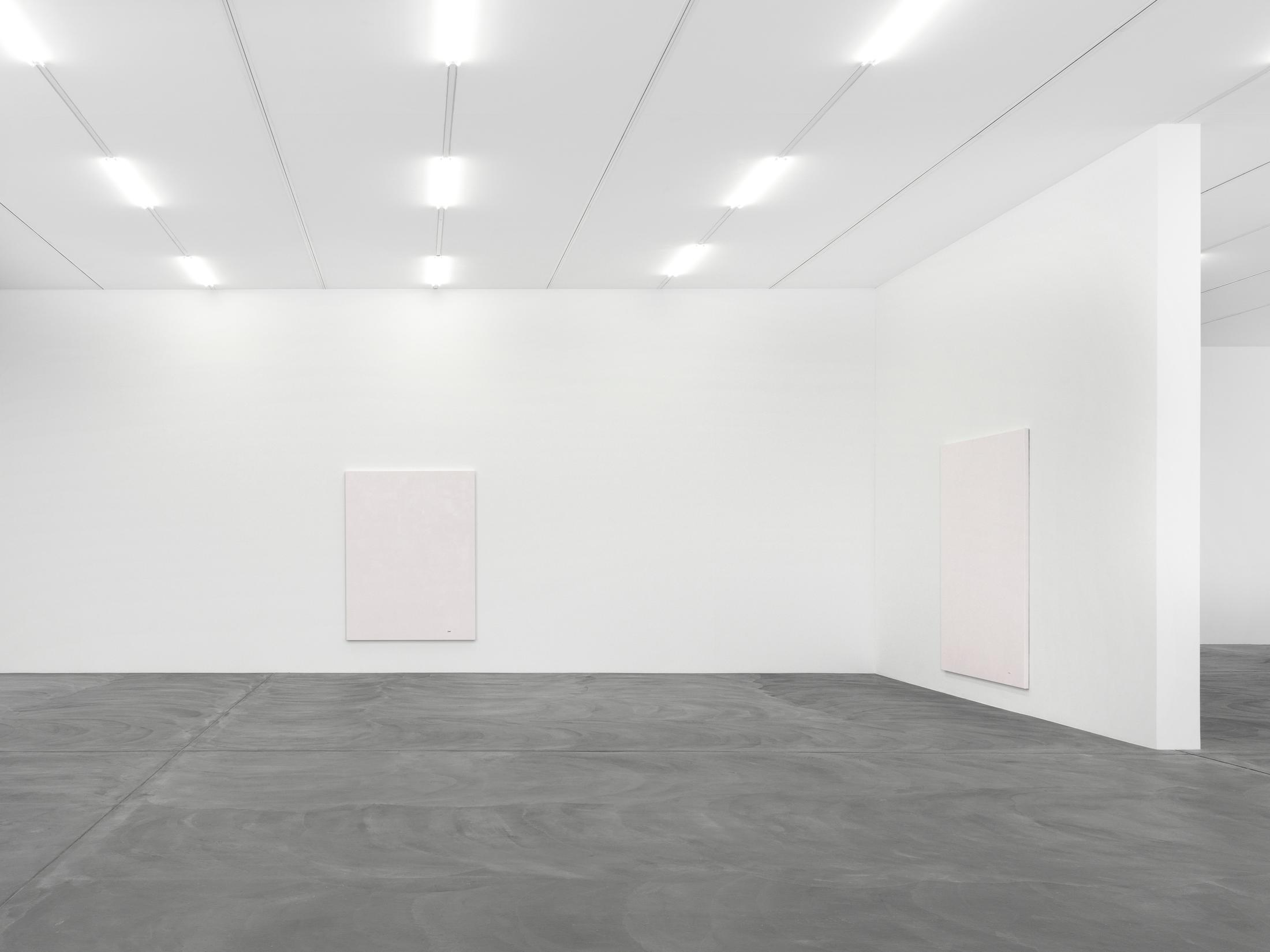 Installation View Emil Michael Klein "Darkotic" at Kunsthalle Zürich, 2017 / Photo: Annik Wetter / Courtesy: the artist