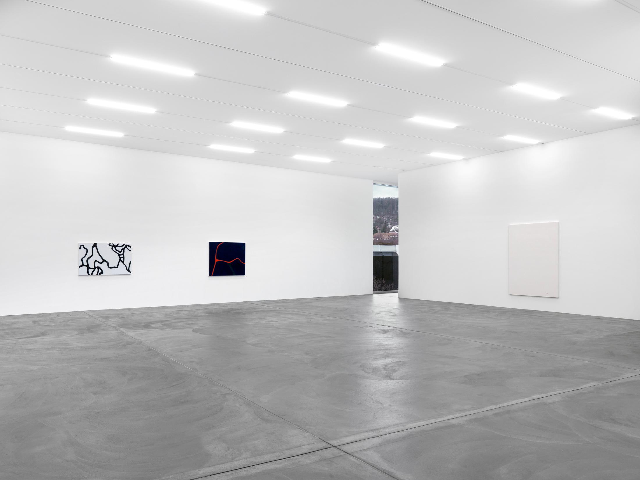 Installation View Emil Michael Klein "Darkotic" at Kunsthalle Zürich, 2017 / Photo: Annik Wetter / Courtesy: the artist