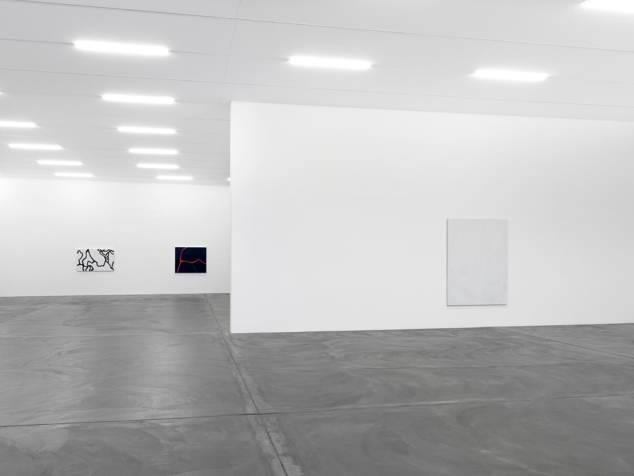 Installation View Emil Michael Klein "Darkotic" at Kunsthalle Zürich, 2017 / Photo: Annik Wetter / Courtesy: the artist