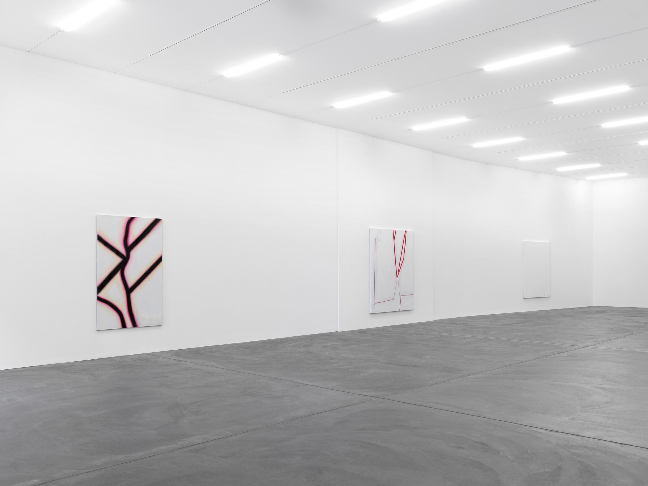 Installation View Emil Michael Klein "Darkotic" at Kunsthalle Zürich, 2017 / Photo: Annik Wetter / Courtesy: the artist