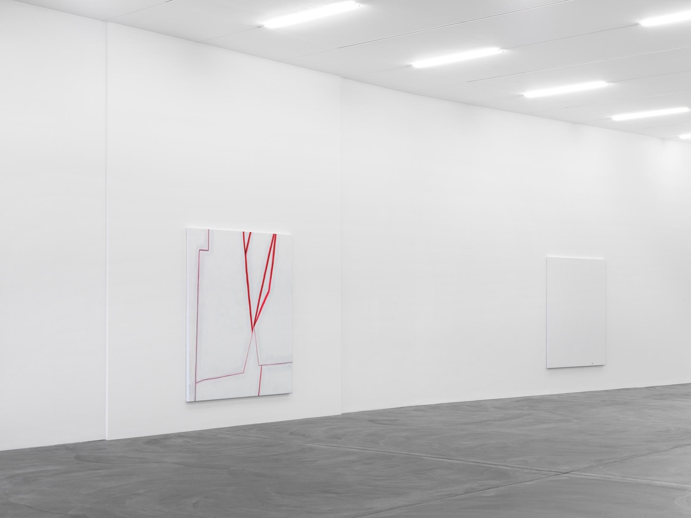 Installation View Emil Michael Klein "Darkotic" at Kunsthalle Zürich, 2017 / Photo: Annik Wetter / Courtesy: the artist